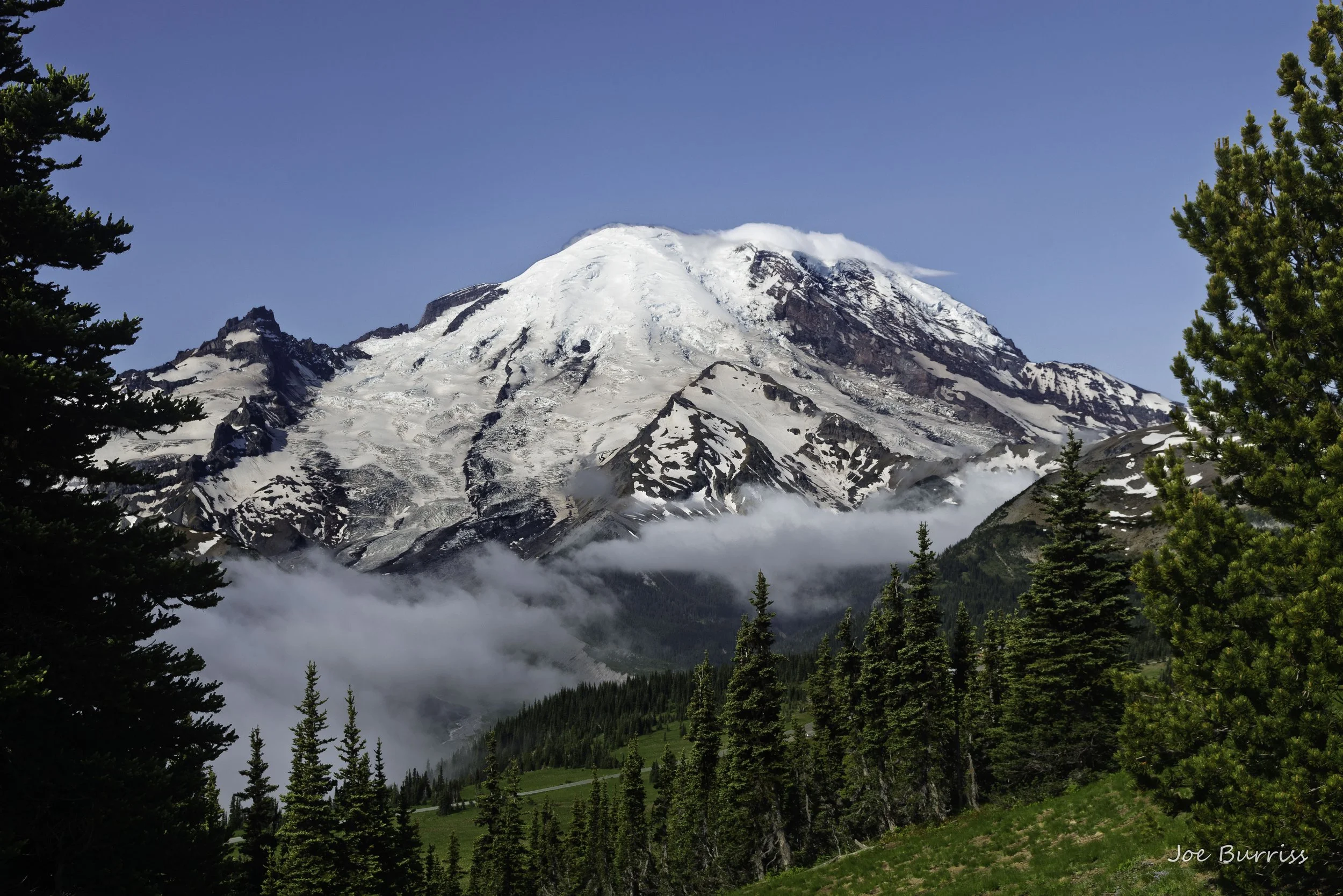 Mt Rainier