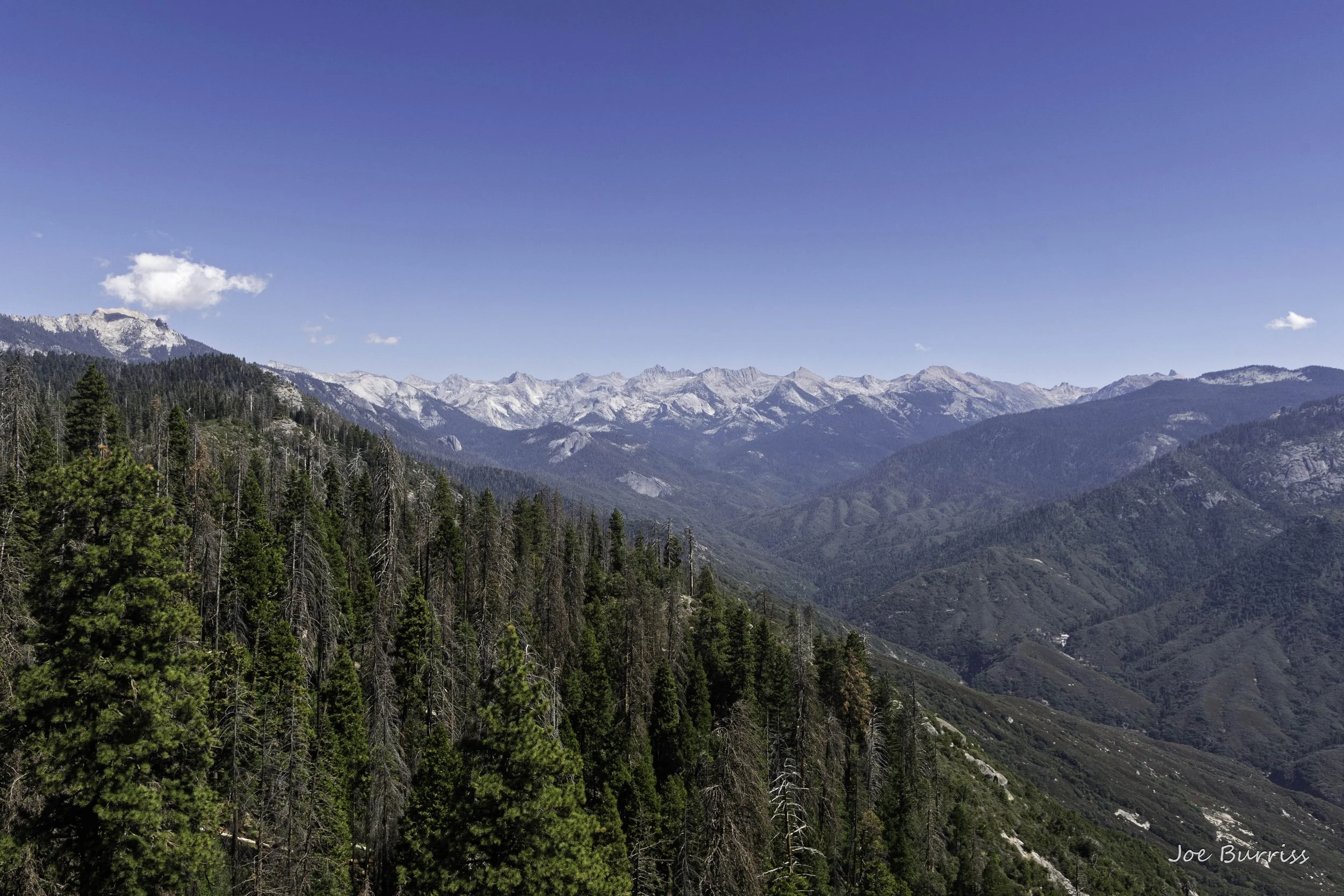 Sequoia and Kings Canyon National Parks