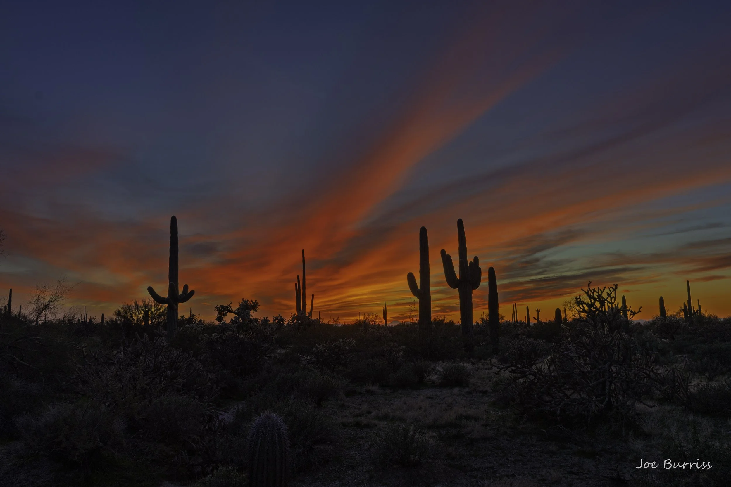 Mesa Arizona