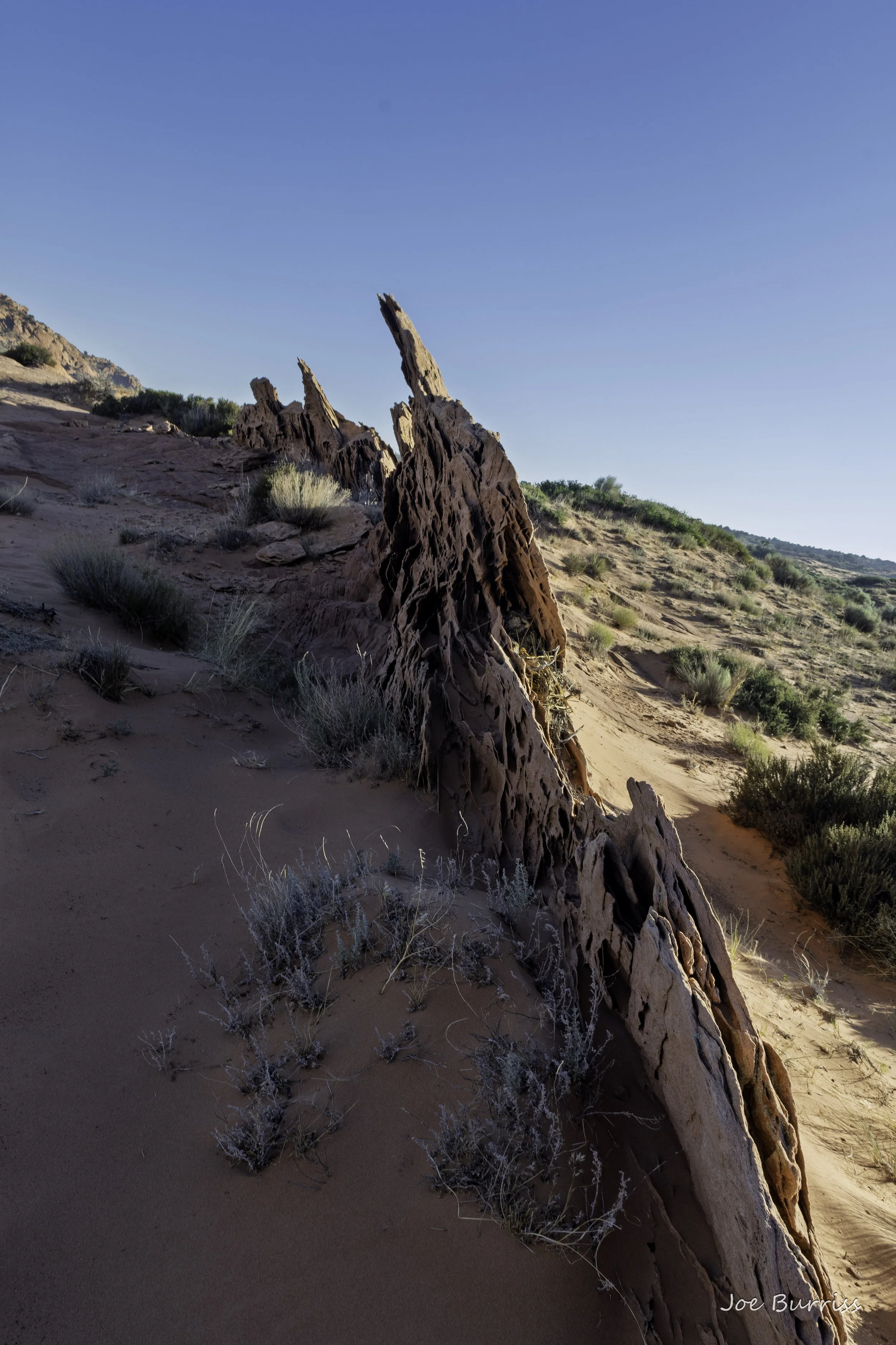 Vermilion Cliffs National Monument - Wire Pass, Buckskin Gulch, and Edmaiers Secret