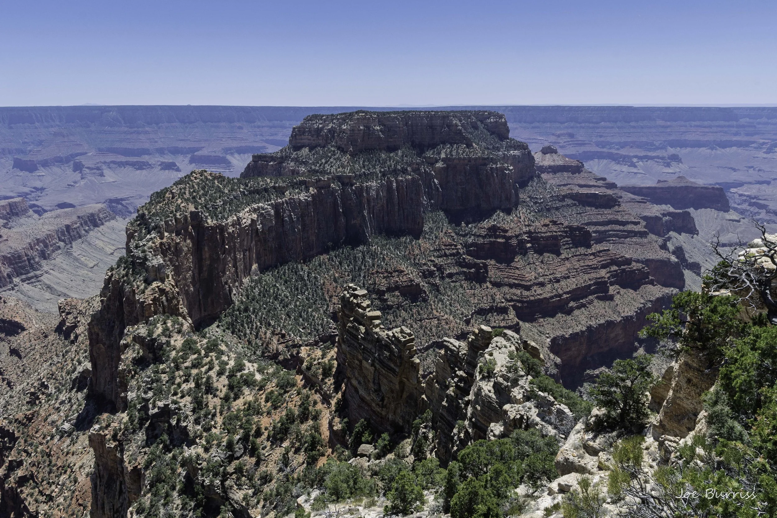 North Rim of the Grand Canyon