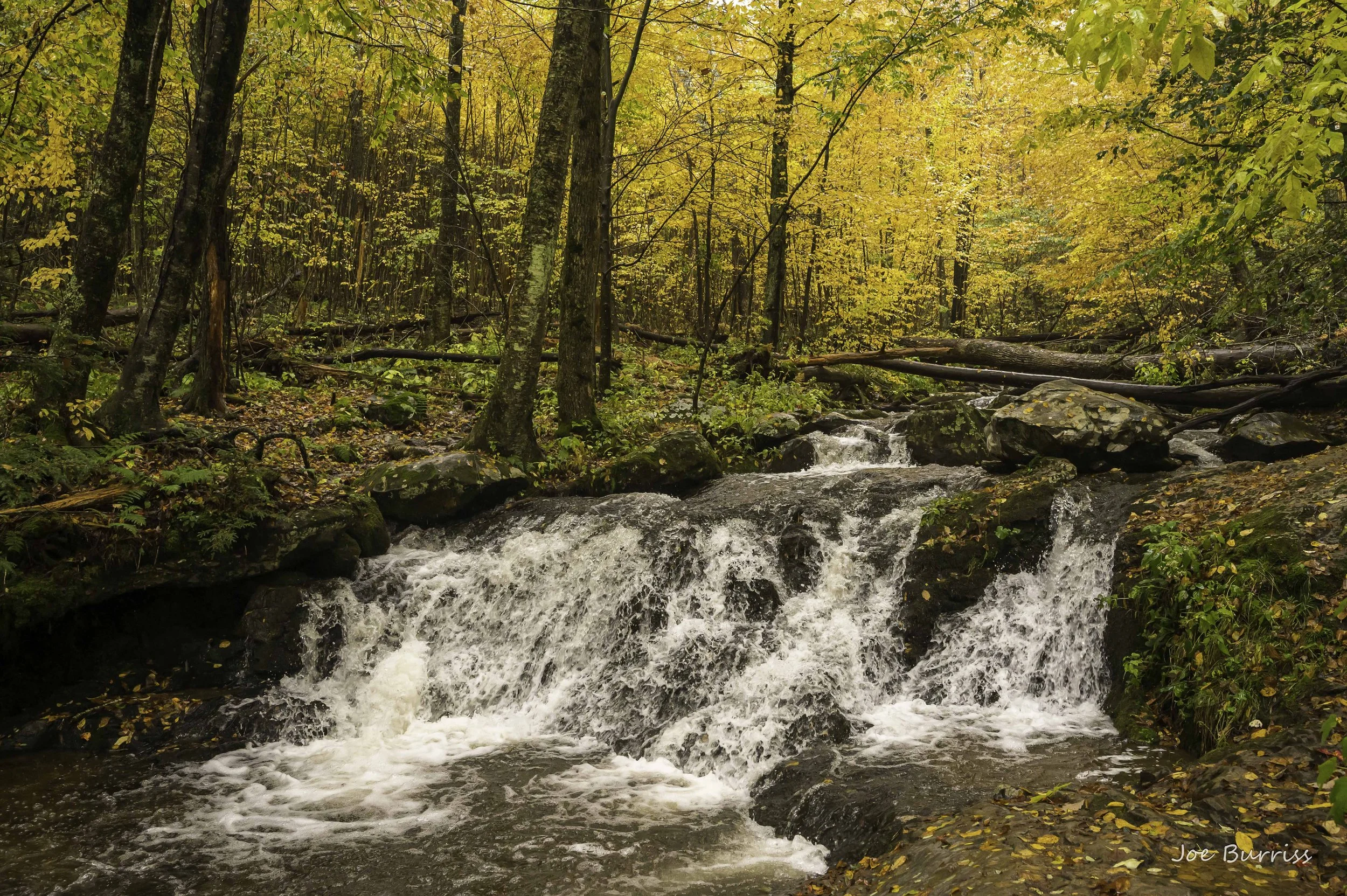 Shenandoah National Park