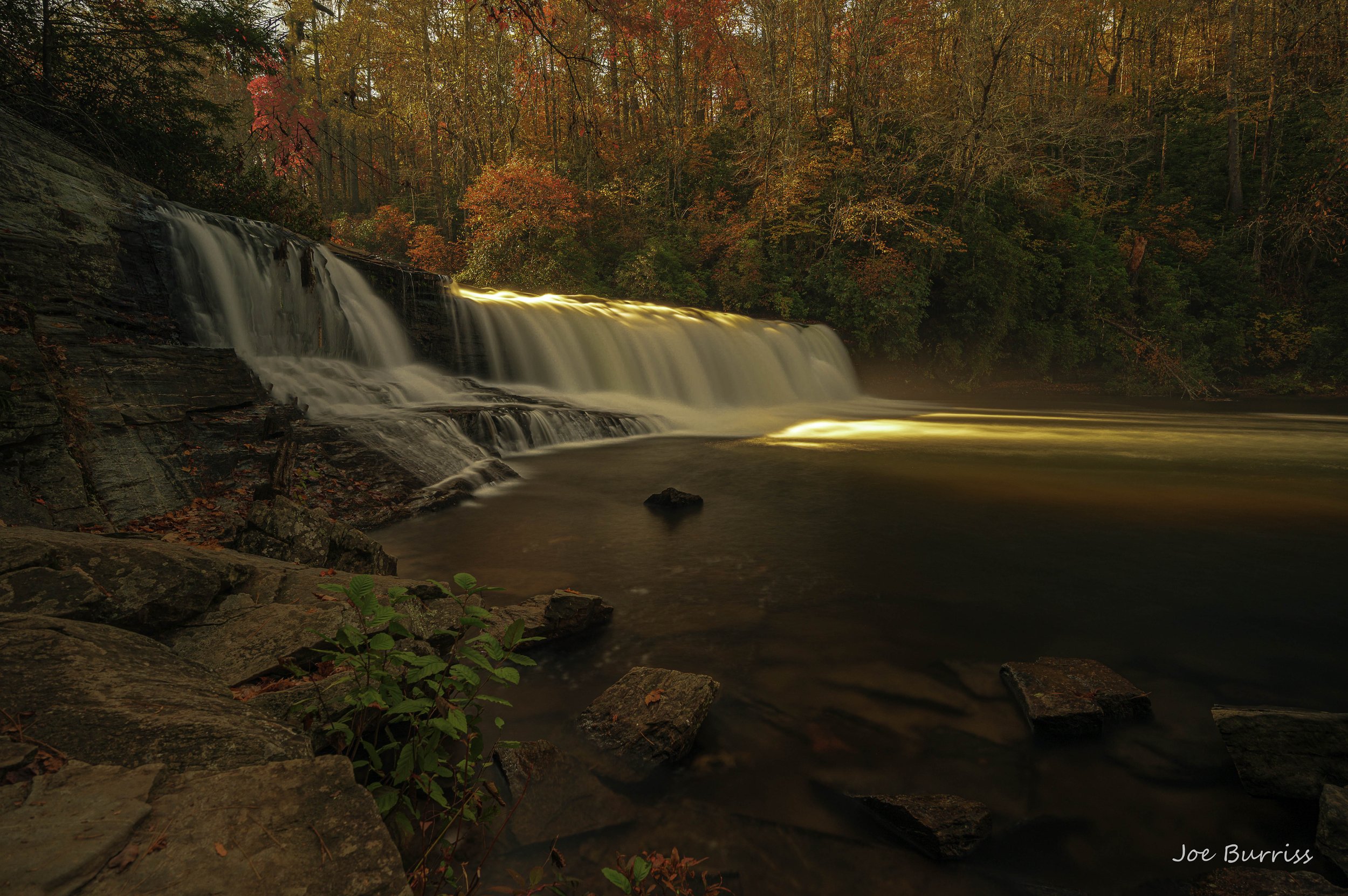 North Carolina -  DuPont State Forest
