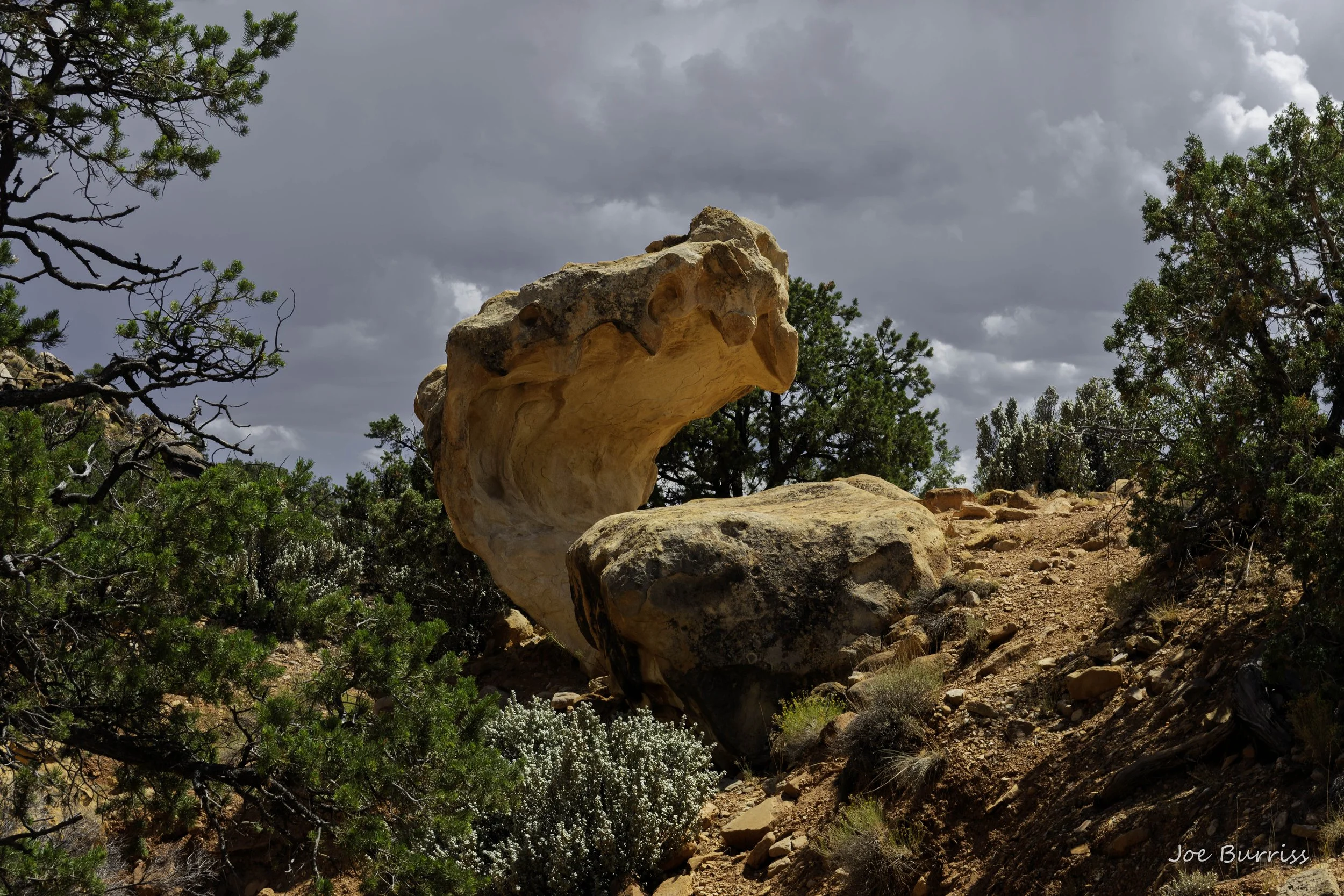 Capitol Reef National Park