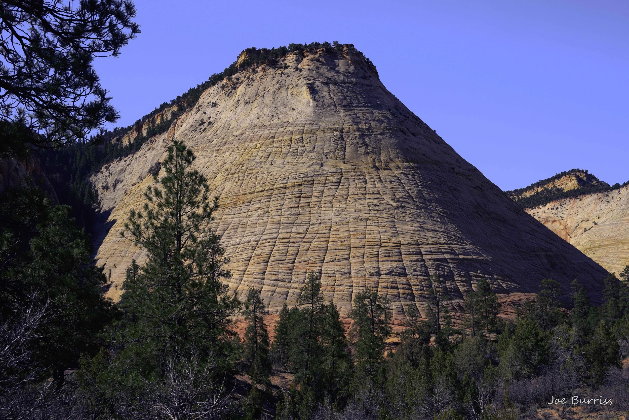 Utah's Zion National Park