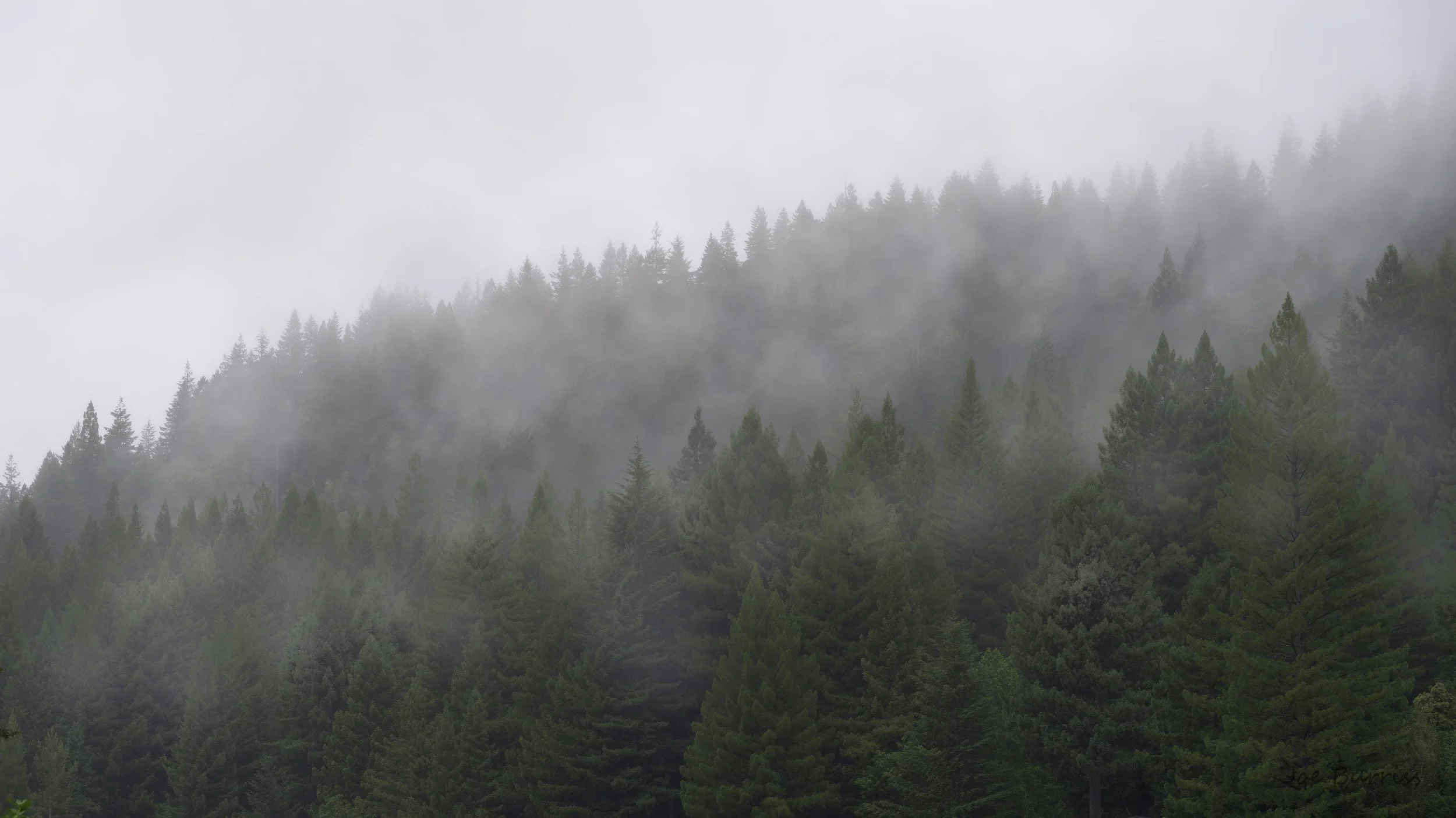 Pacific Northwest Marine Layer