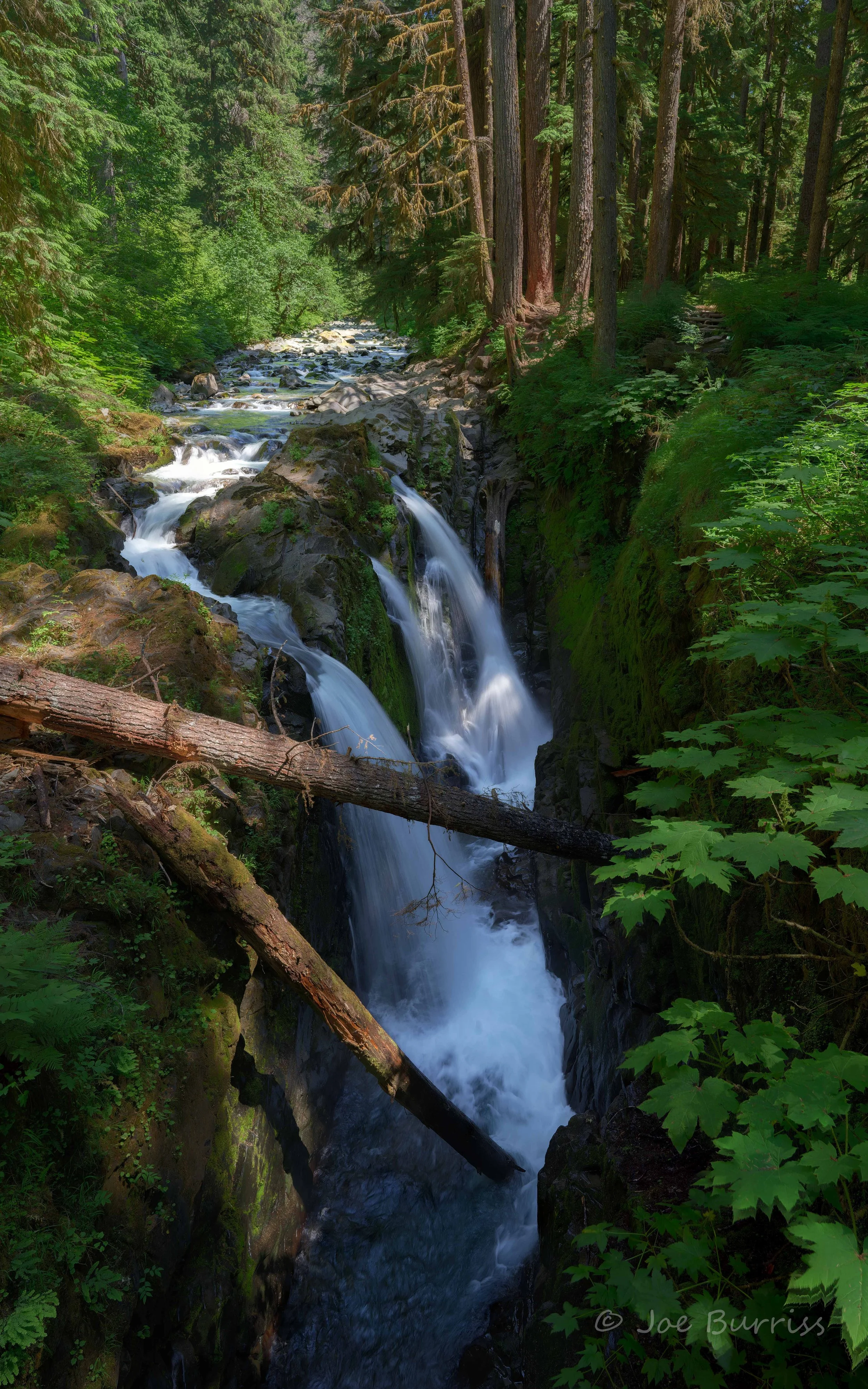 Olympic National Park