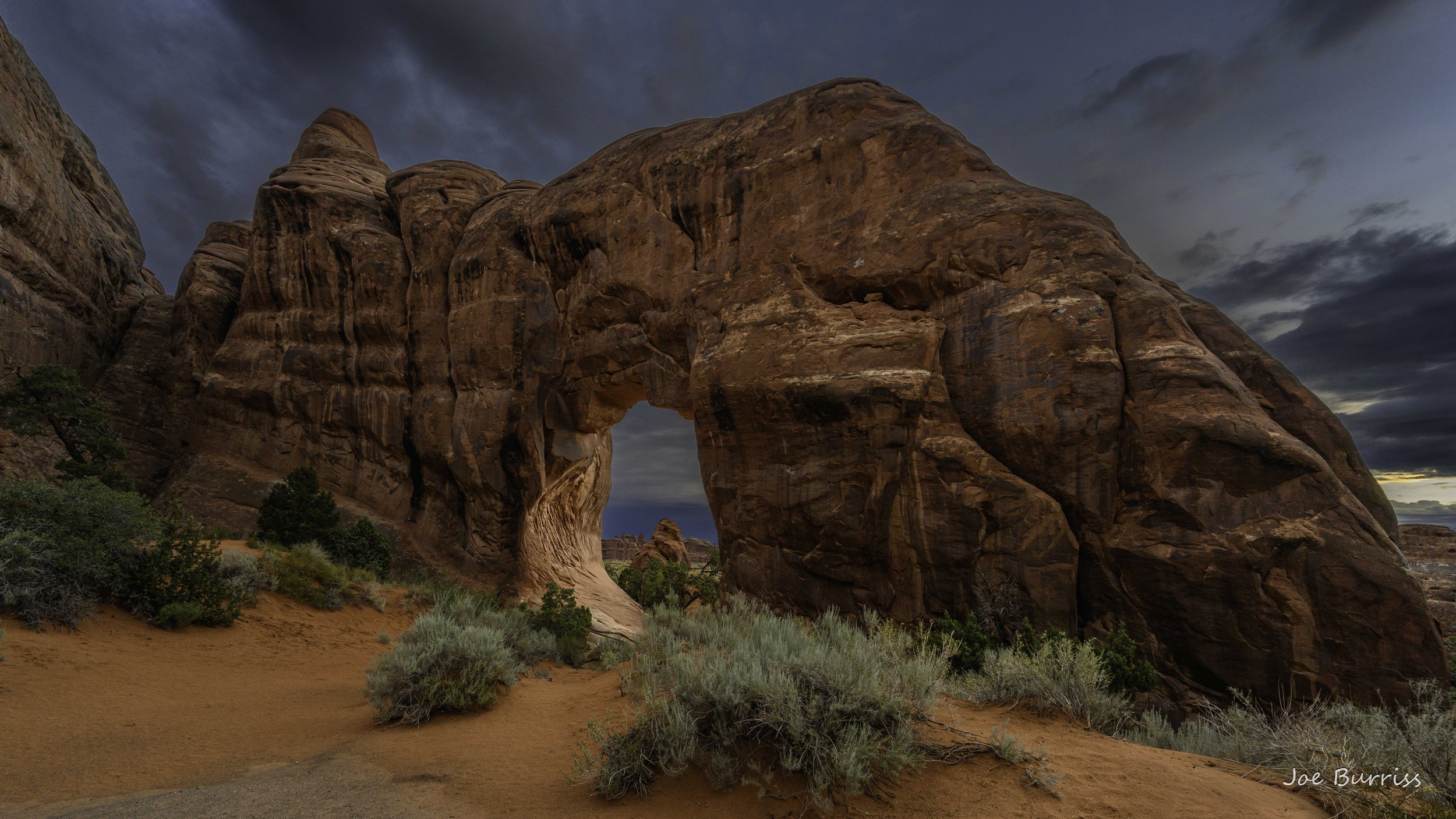 Pine Tree Arch