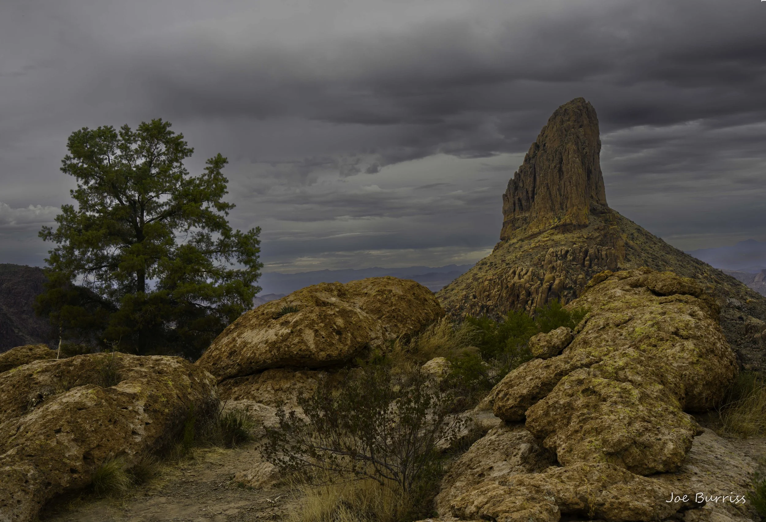 Tonto National Forest-.jpg