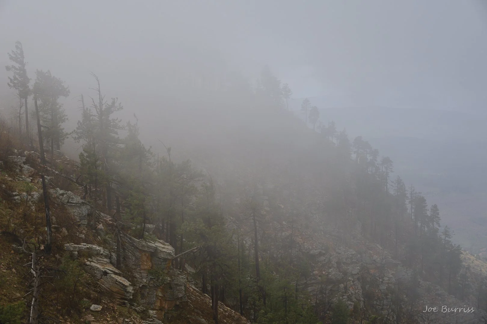 National Forests