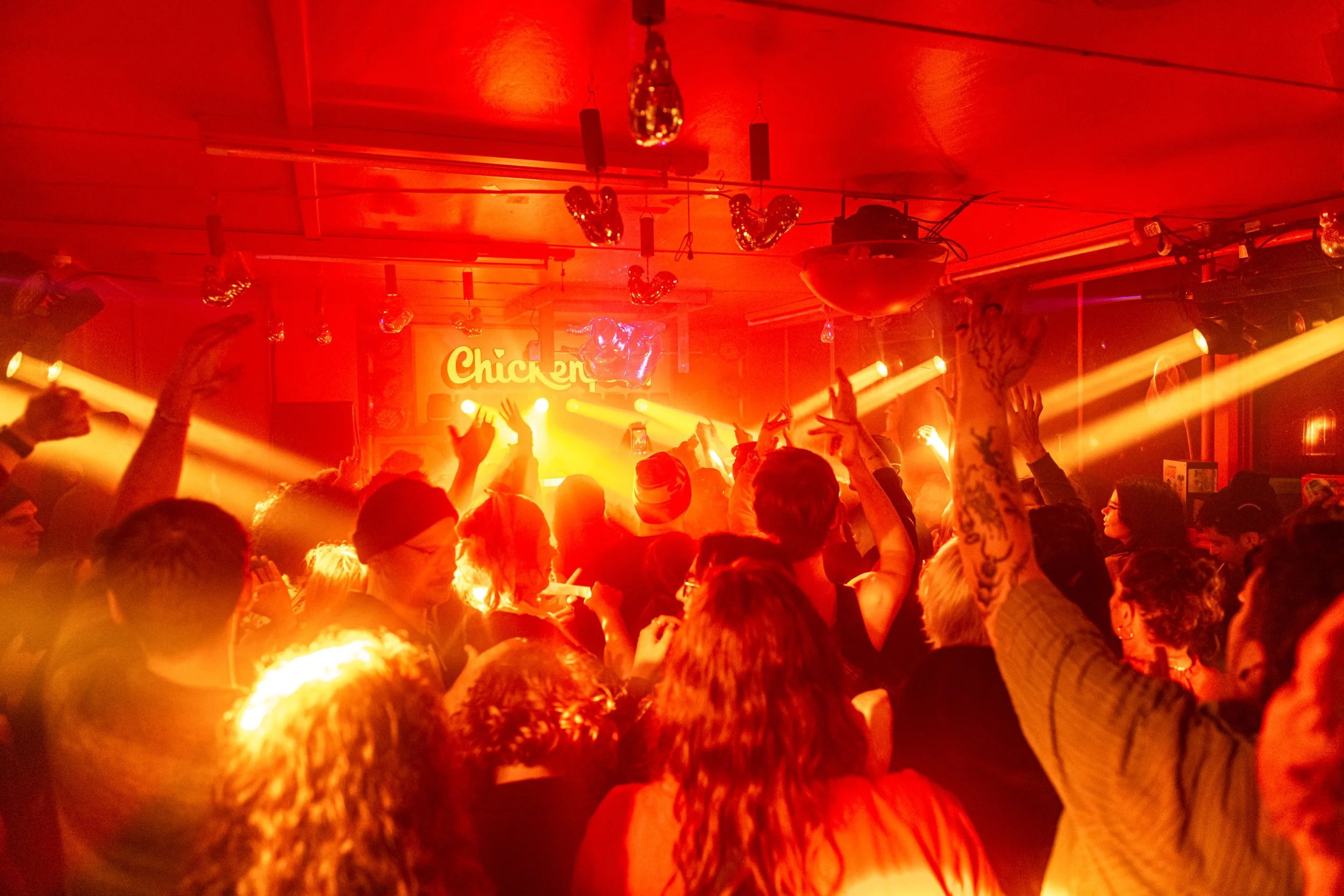DarkMofo-2026-2134.jpg