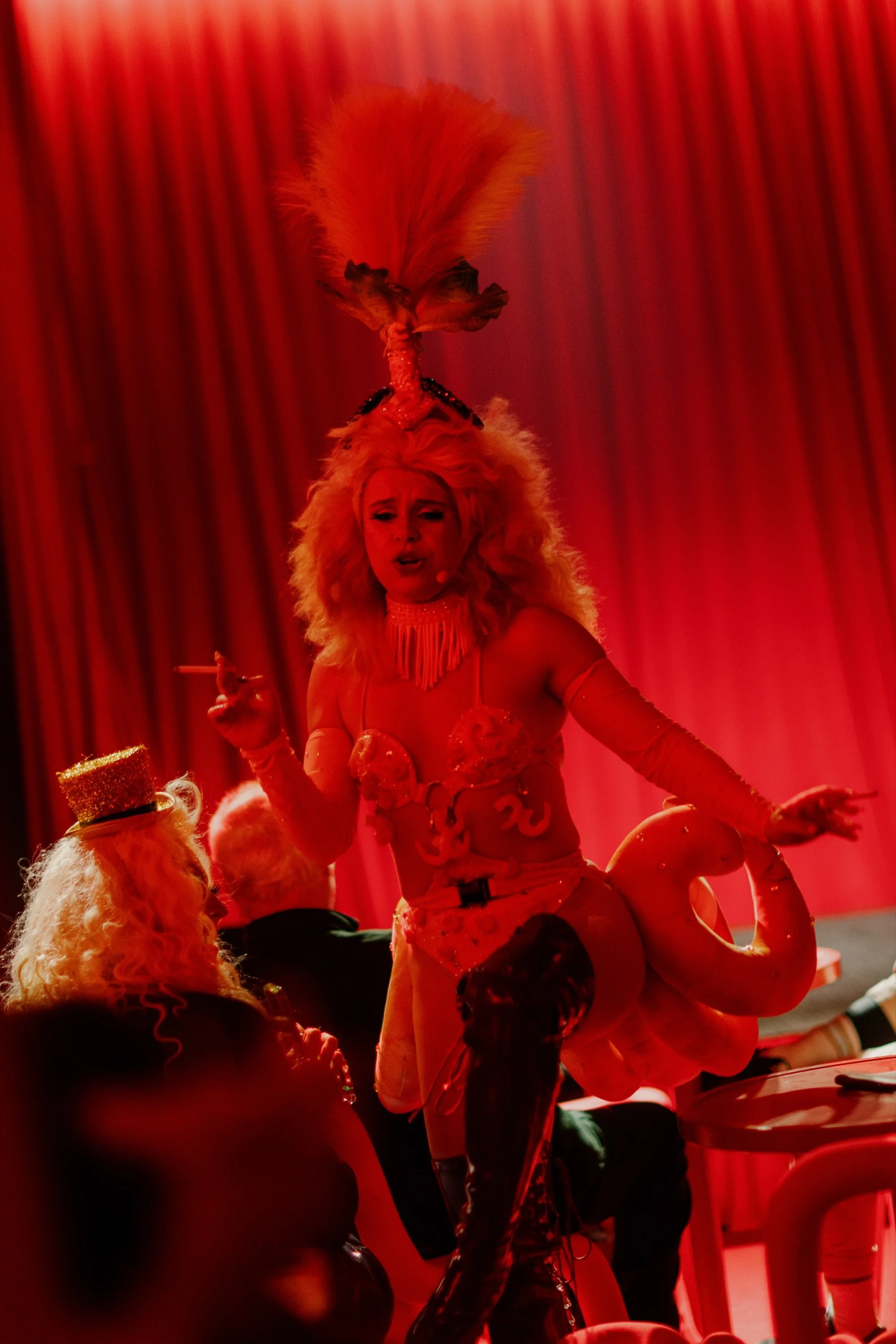 red-room-dark-mofo-2024_54572013166_o.jpg