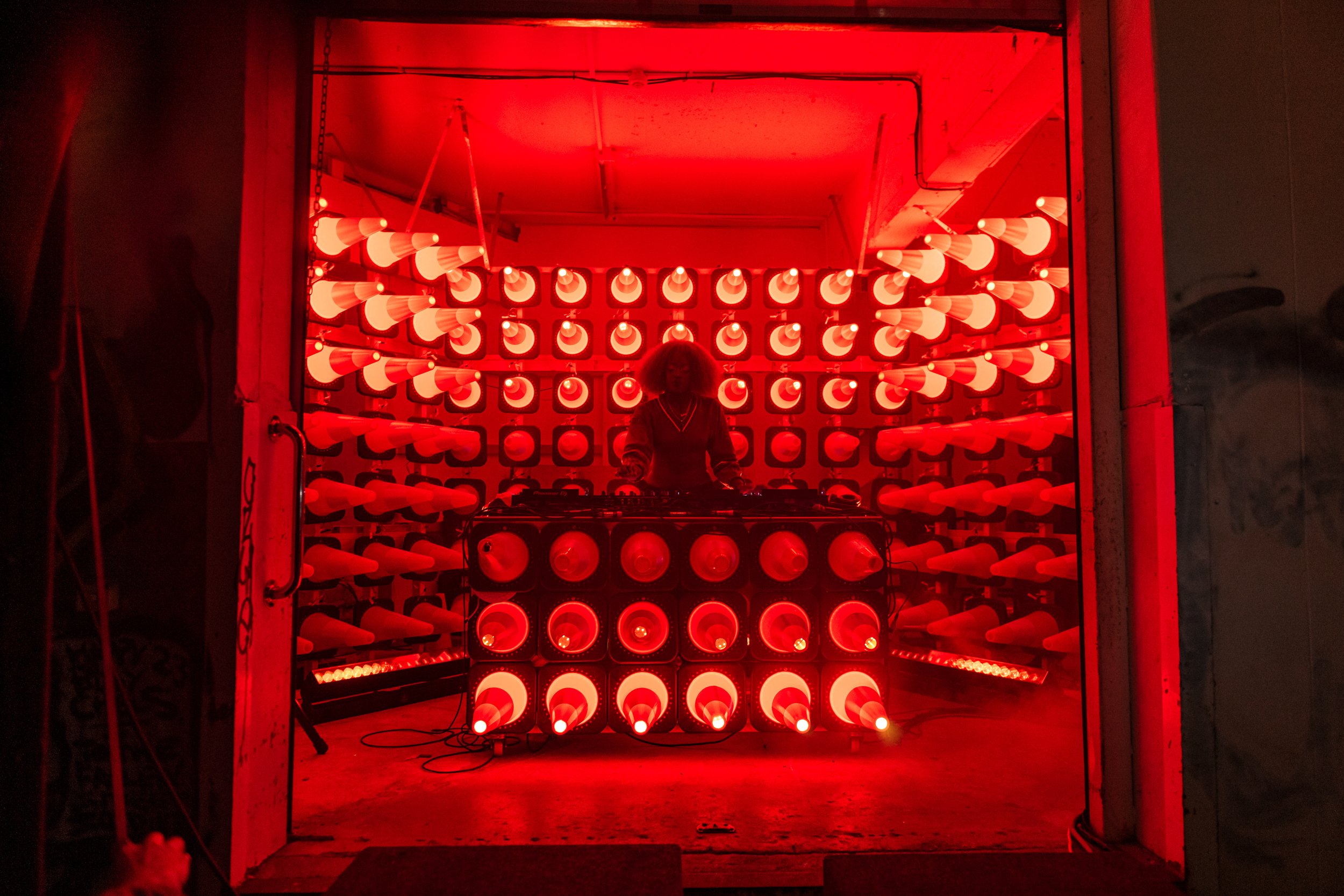 DarkMofo-2026-1137.jpg
