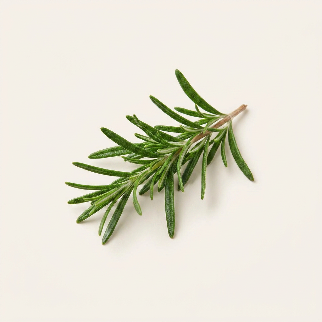 Rosemary Oleoresin: Antioxidant rosemary extract helping protect oils from oxidation and supporting formula freshness.