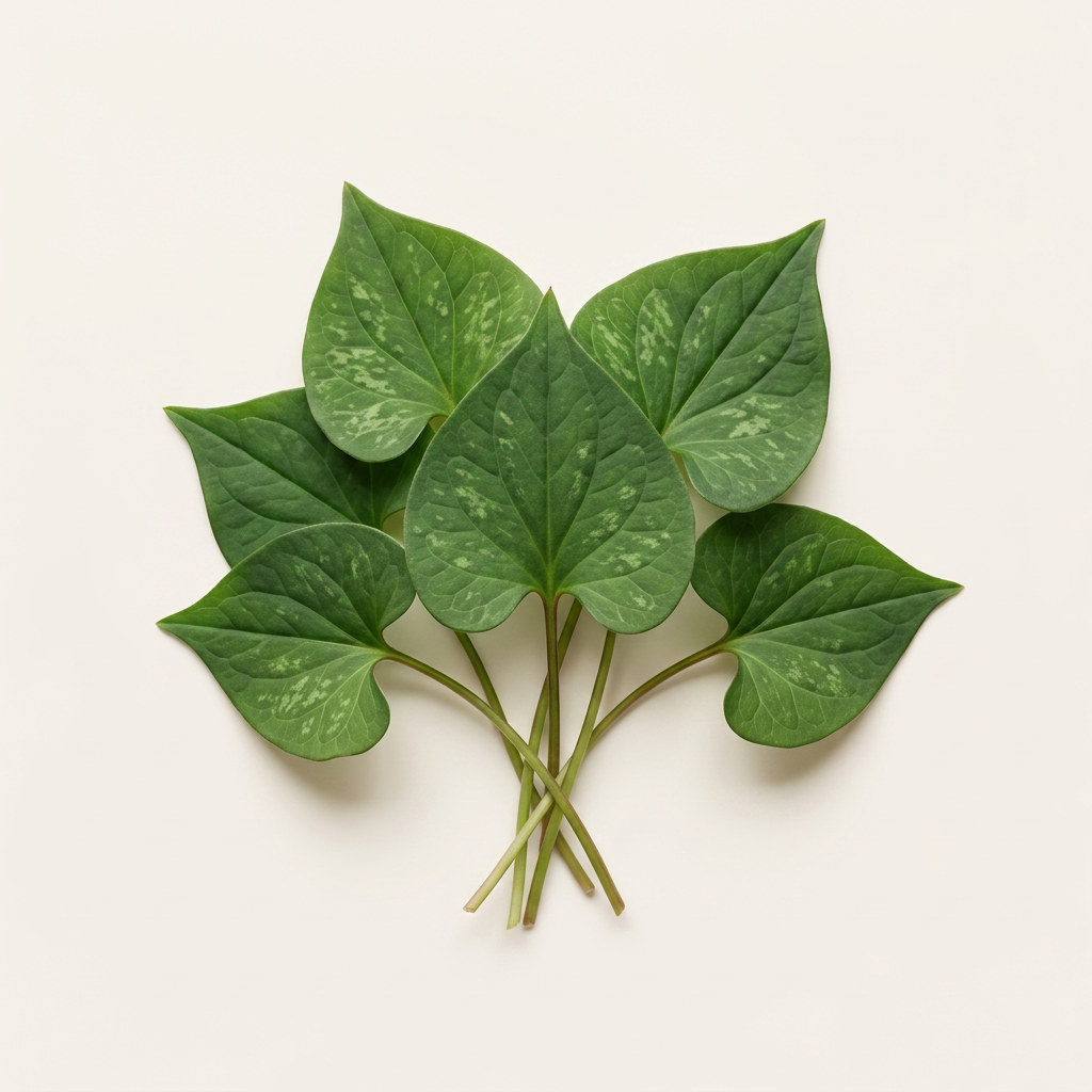 Houttuynia Cordata Extract: Botanical extract used to comfort reactive skin and support a balanced-looking complexion.