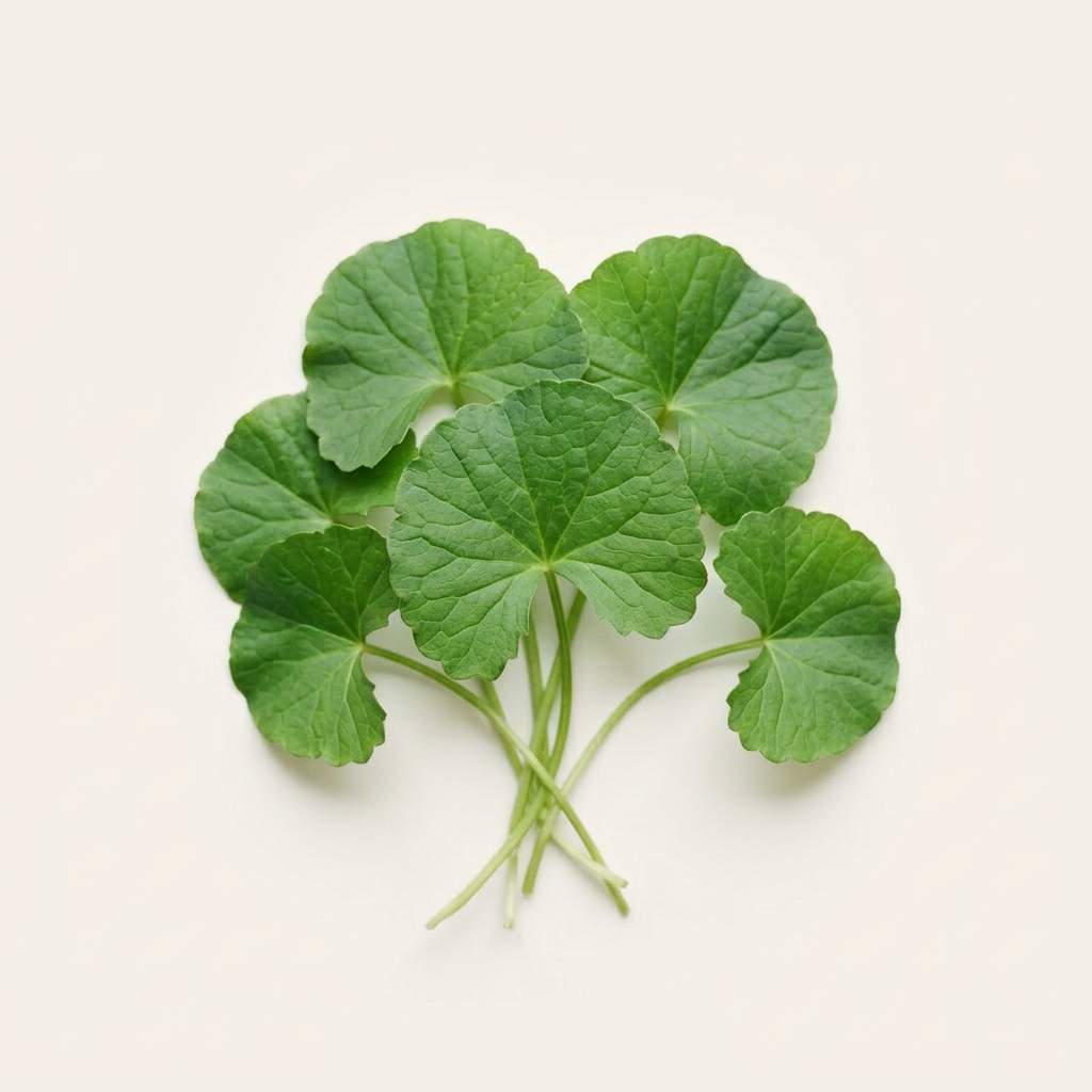 Gotu kola