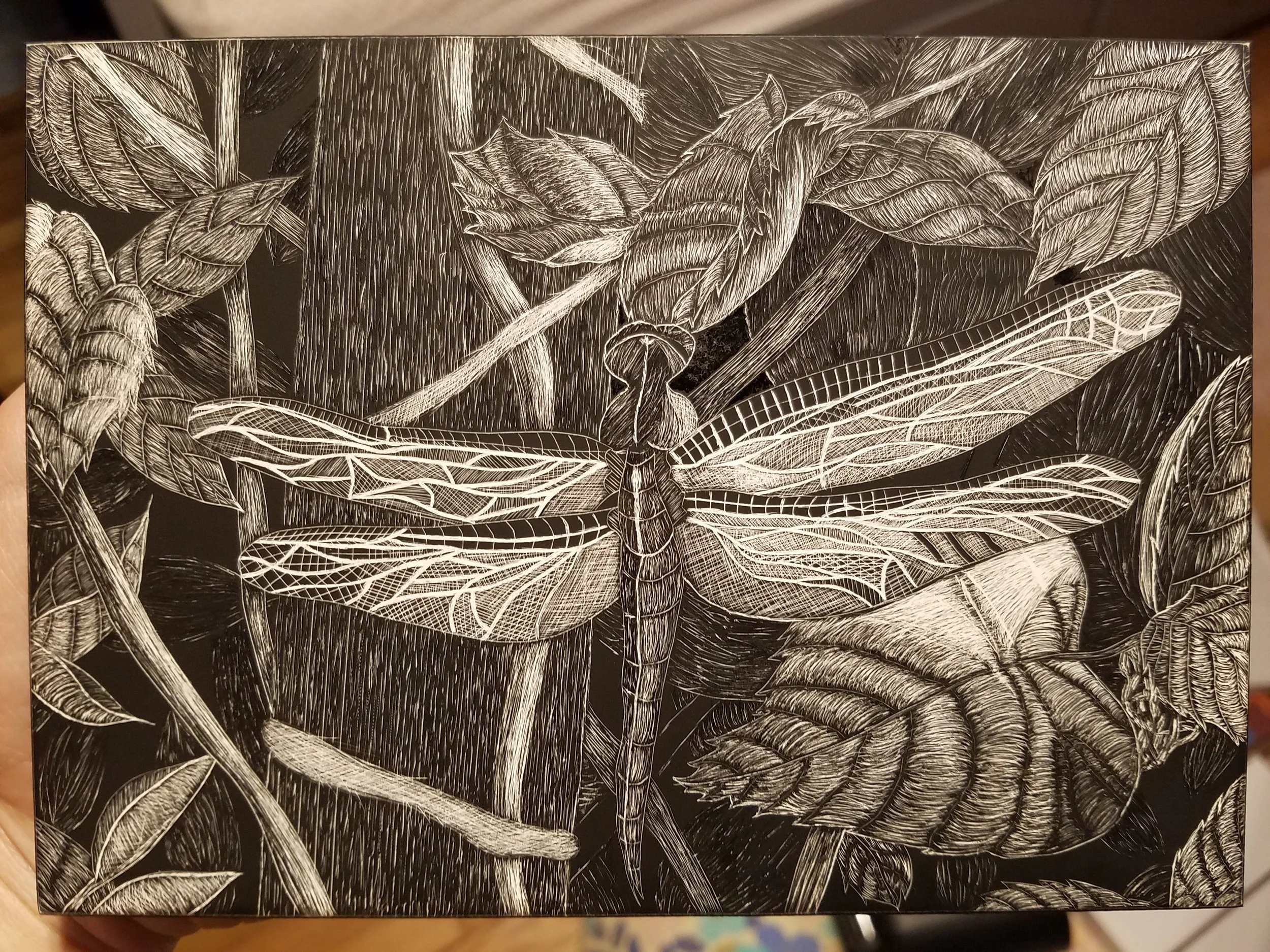 'Dragonfly among the Vines' - Etched