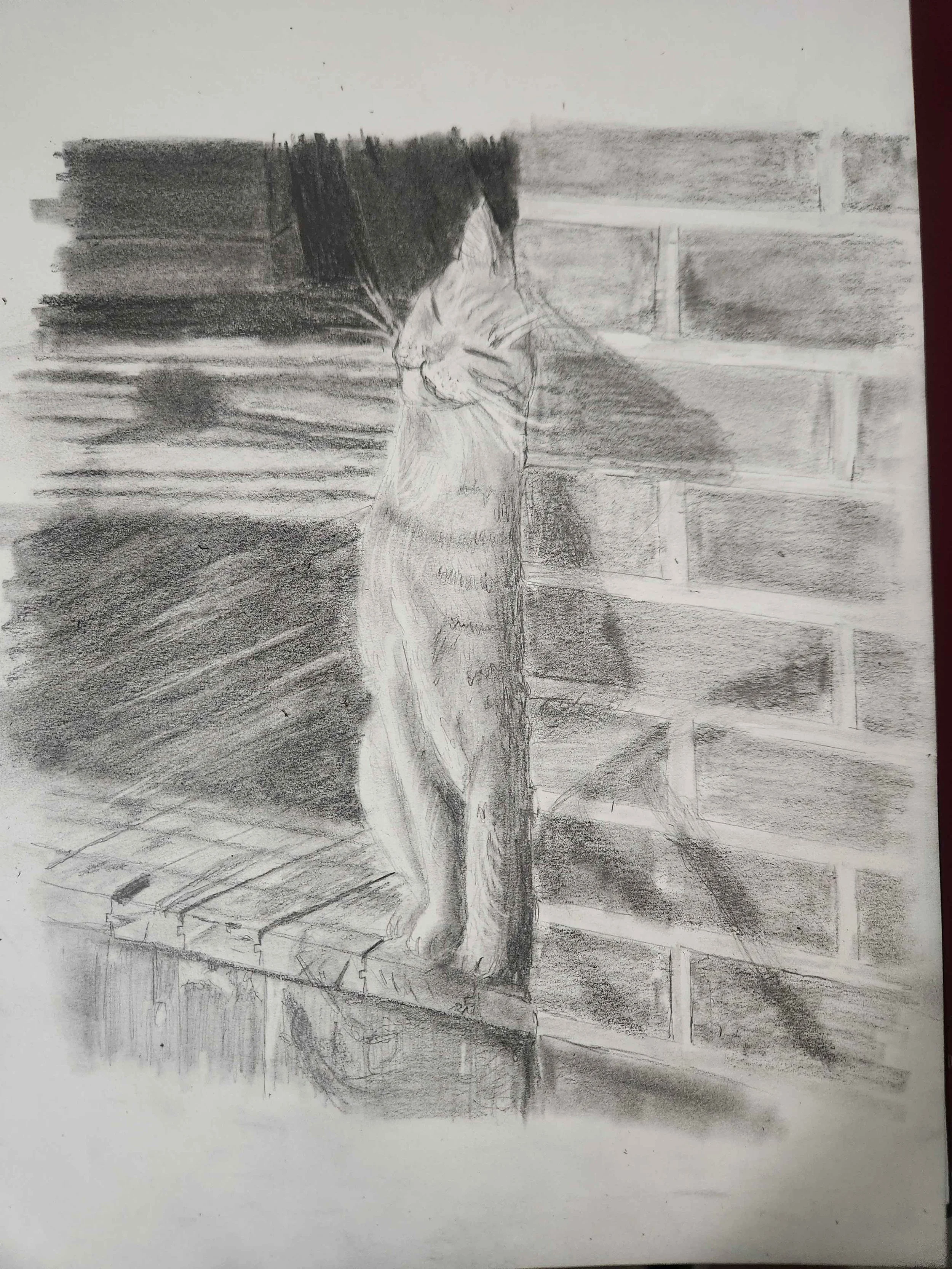 'Kevin' - Graphite