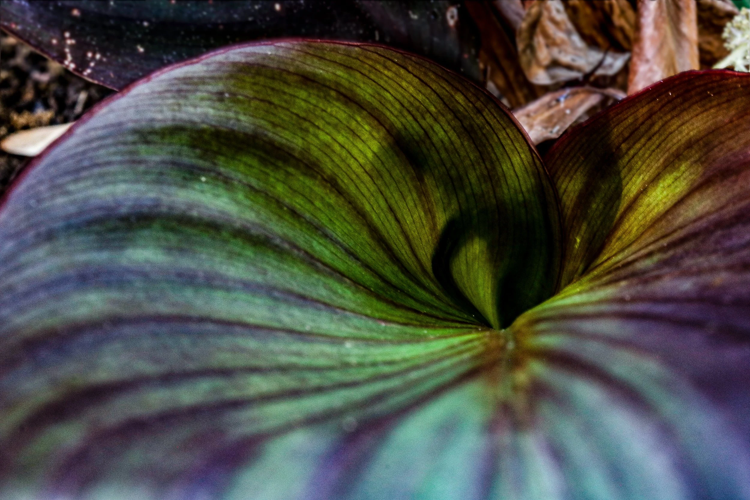 'Spiral Down'