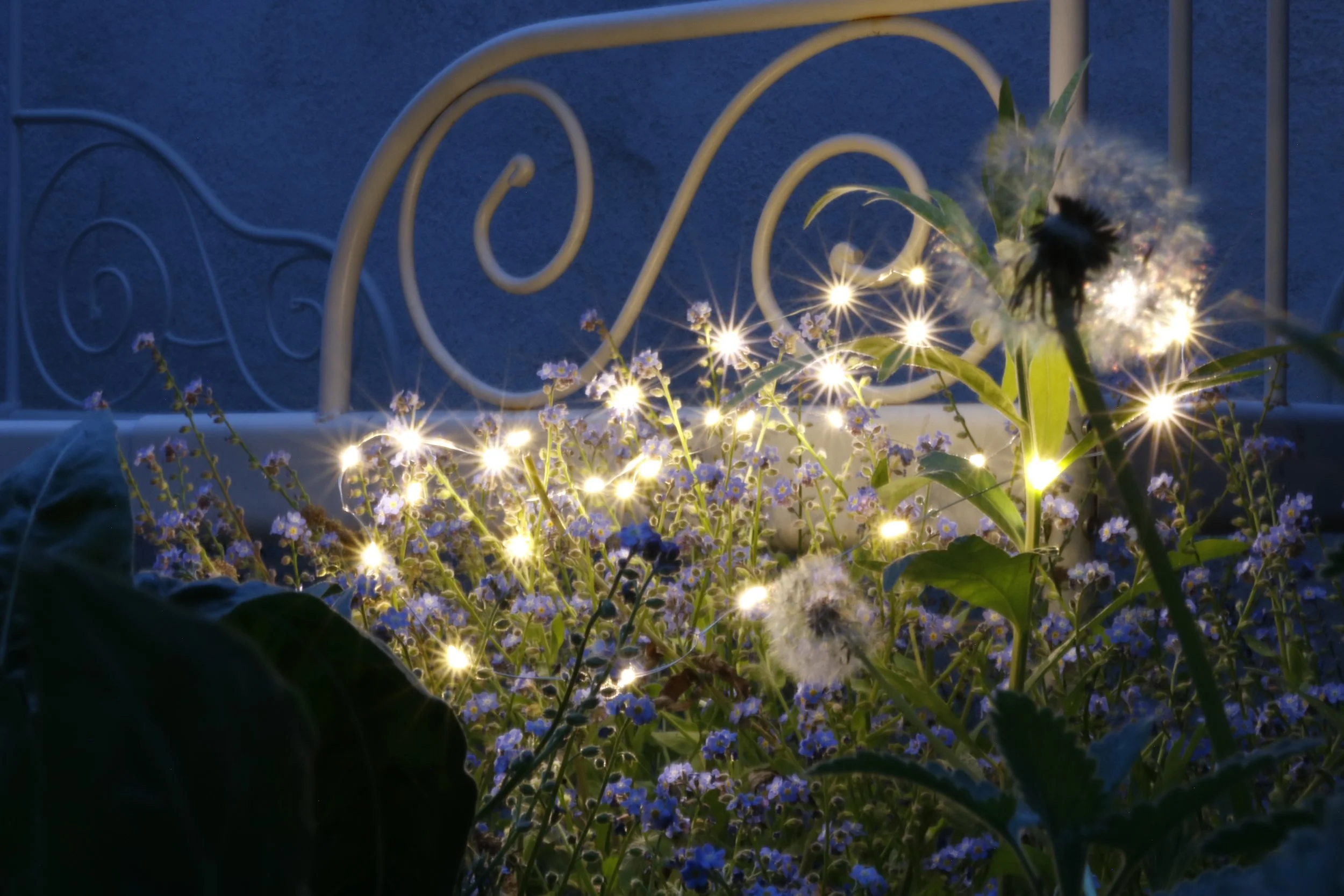 'Fairy Lights'