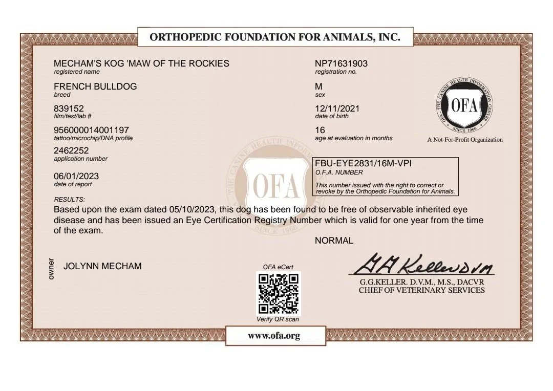 Veterinary certification for a French Bulldog named Mecham's Kog 'Maw of the Rockies,' issued by the Orthopedic Foundation for Animals, indicating the dog is free of inherited eye disease.