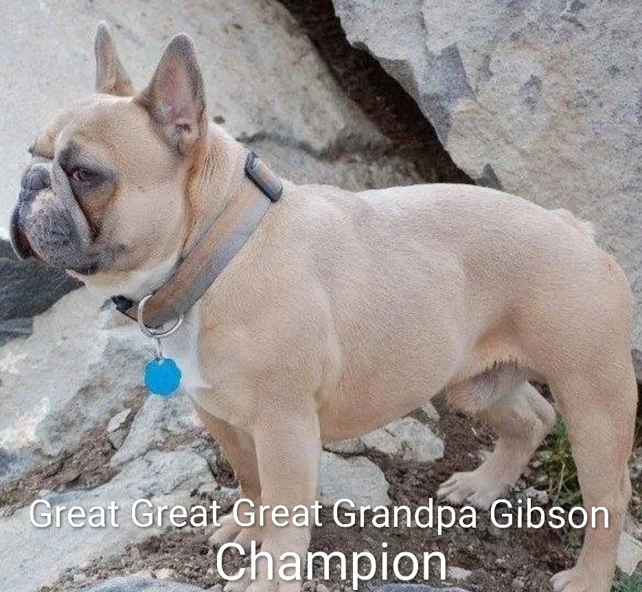 1000045636.jpg