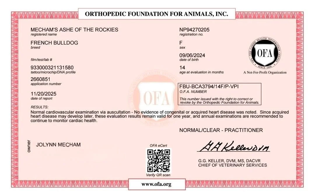 Veterinary certificate from the Orthopedic Foundation for Animals for a French Bulldog named Mecham's Ashe of the Rockies, showing microchip/DNA profile, application number, report date, and health results indicating normal cardiovascular health.