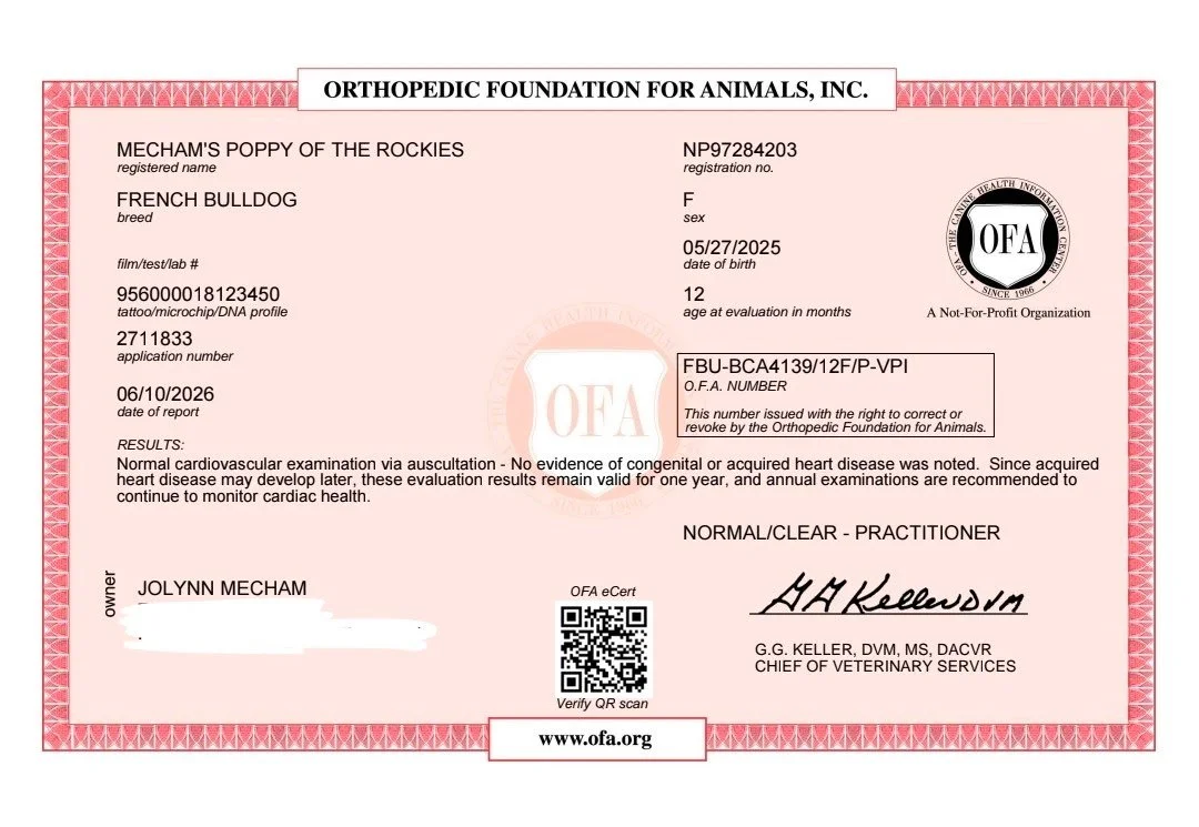 Veterinary health certificate for a French Bulldog named Mecham's Poppy of the Rockies, issued by the Orthopedic Foundation for Animals, indicating a normal cardiovascular examination and free from congenital heart disease.