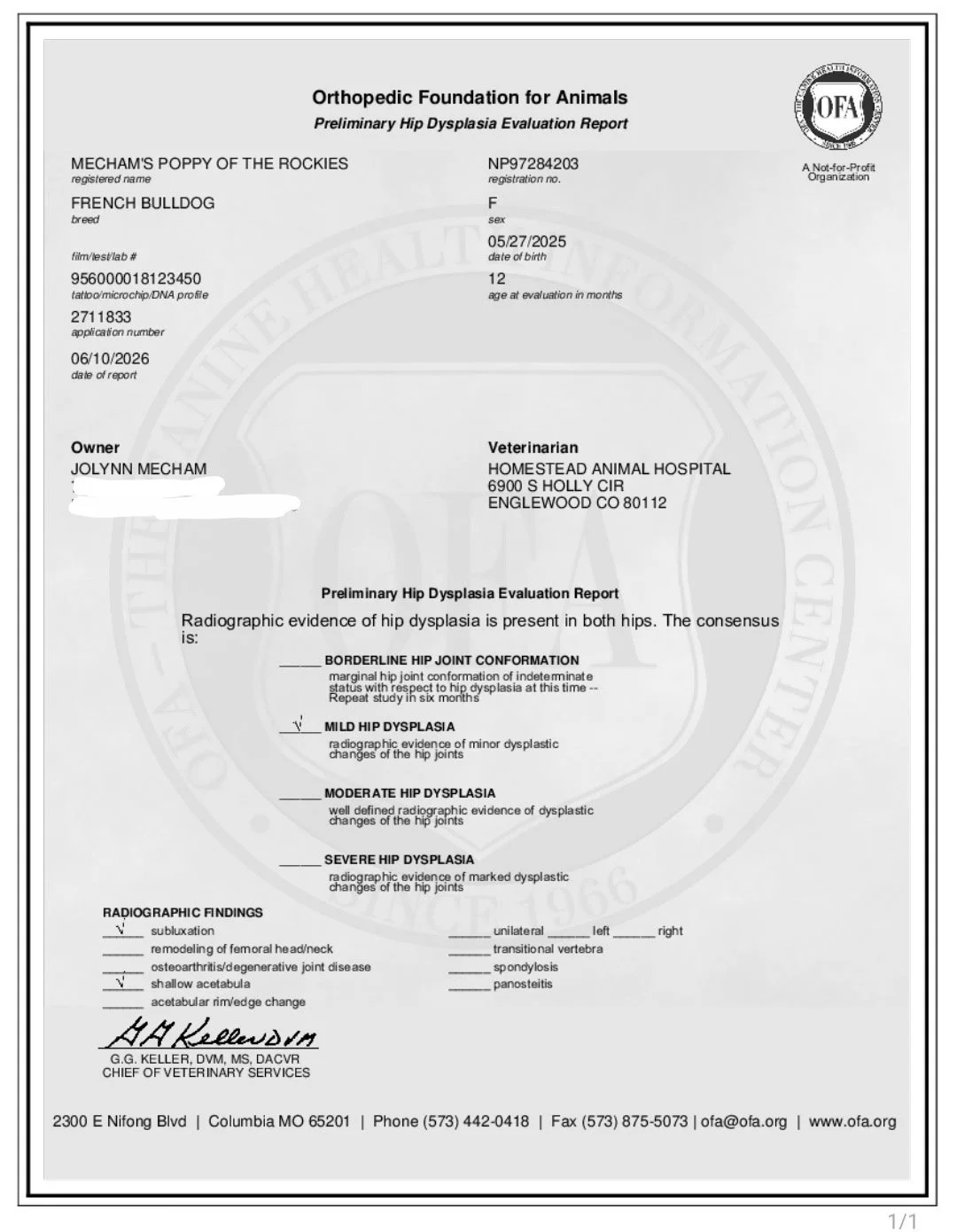 Preliminary Hip Dysplasia Evaluation Report for a French Bulldog named Mecham's Poppy of the Rockies. Report includes radiographic evidence of hip dysplasia with a conclusion of mild hip dysplasia, reviewed by veterinarian G.G. Keller at Homestead An