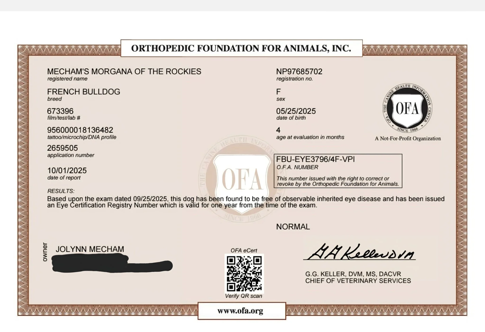 A veterinary certificate for a French Bulldog named Mecham's Morgana of the Rockies, issued by the Orthopedic Foundation for Animals, Inc., with details including sex, date of birth, age, and testing results, along with signatures and a QR code.