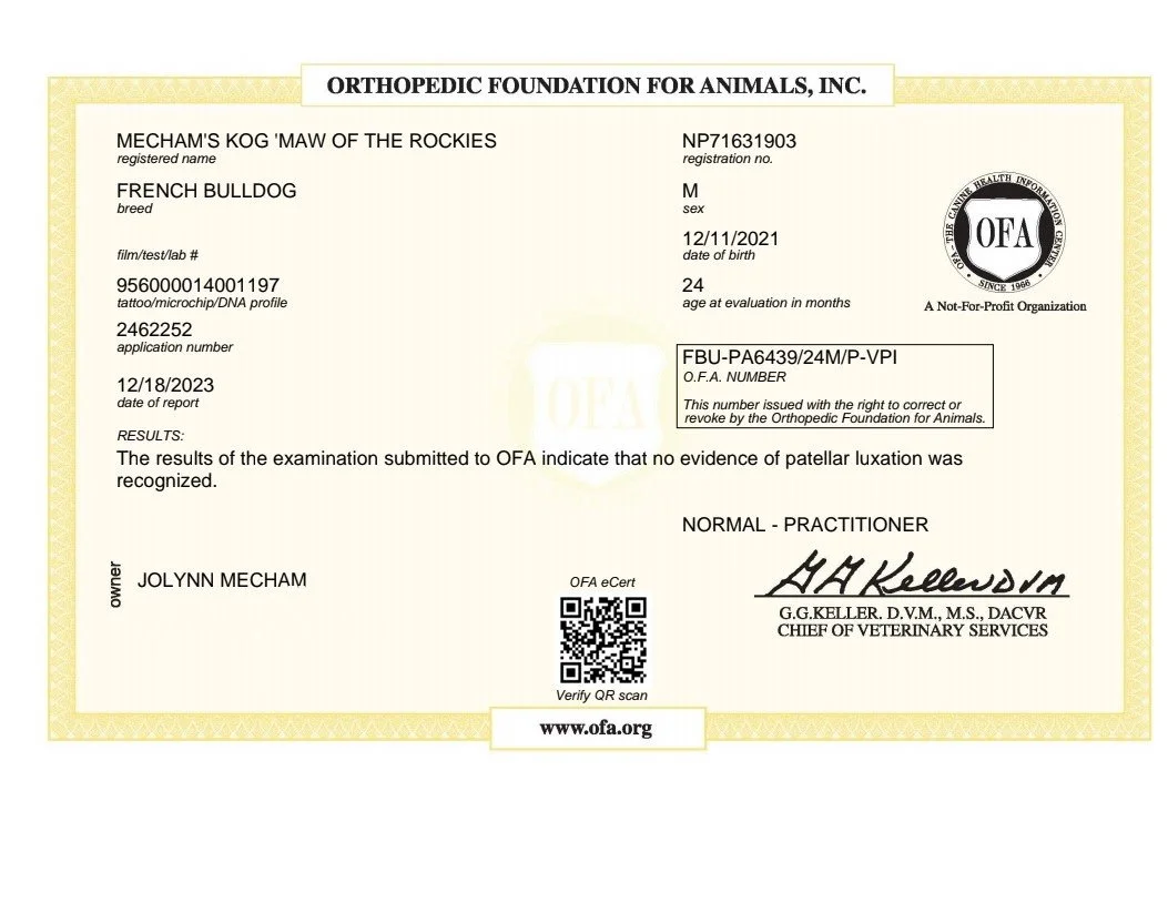 Veterinary certificate for a French Bulldog named Mecham's Kog Maw of the Rockies, issued by the Orthopedic Foundation for Animals, indicating no evidence of patellar luxation, signed by G.G. Keller, with QR code, date of report December 18, 2023.