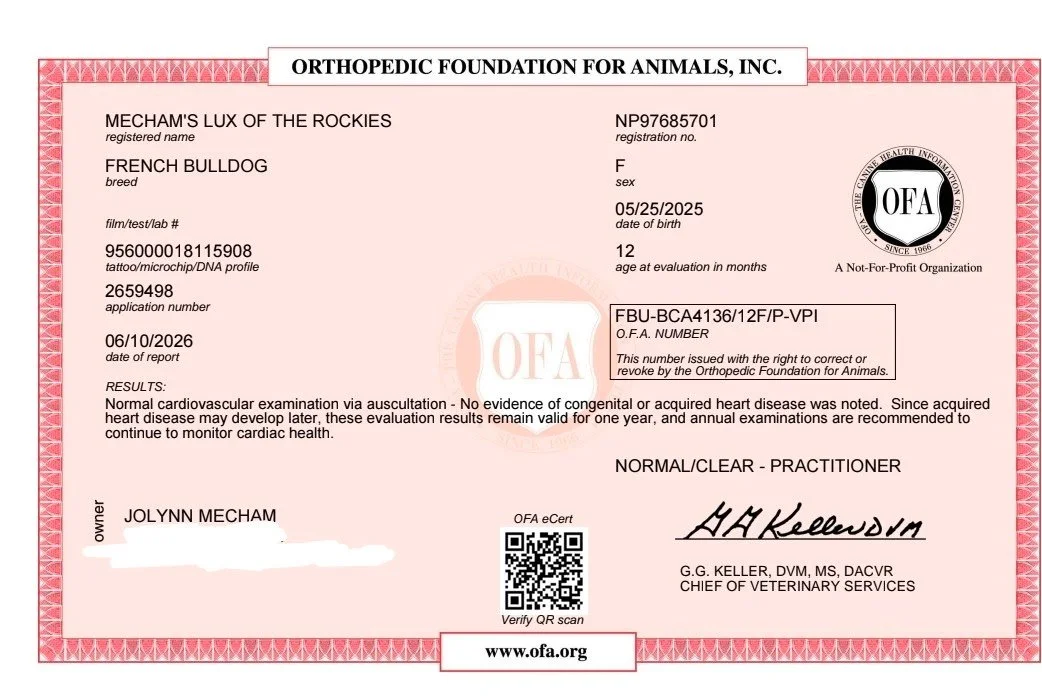 Veterinary health record card for a French Bulldog named Mecham's Lux of the Rockies, issued by the Orthopedic Foundation for Animals, showing registration number, breed, sex, birth date, age, microchip ID, application number, report date, and veteri
