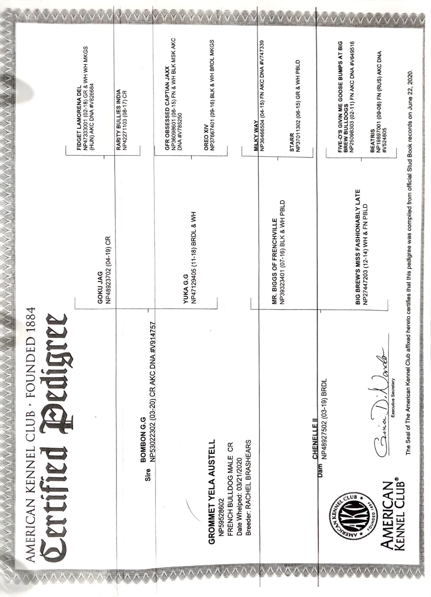 Scan_20260707_204518.jpg