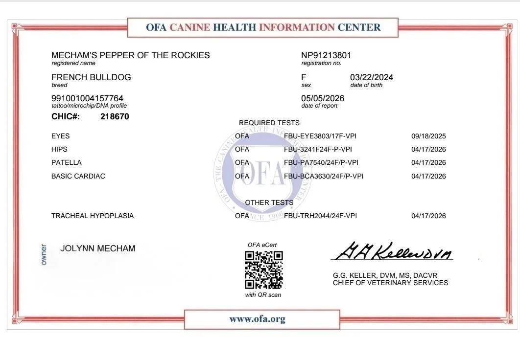 Veterinary health report for a French Bulldog named Mecham's Pepper of the Rockies, including test results and owner information.