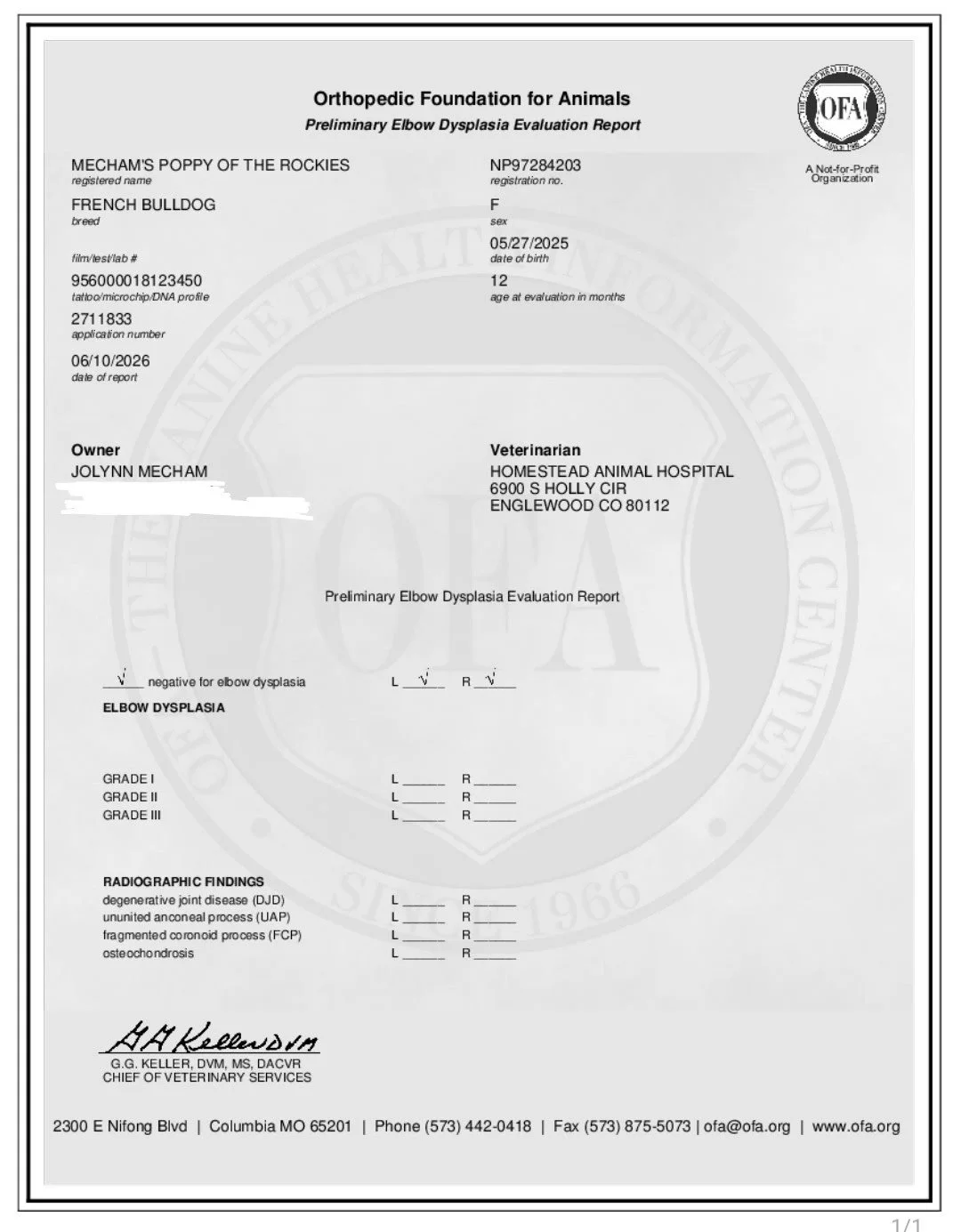 Veterinary report for a French Bulldog named Mecham's Poppy of the Rockies, evaluating elbow dysplasia with grades I to III and radiographic findings for degenerative joint disease, ununited anconeal process, fragmented coronoid process, and osteocho