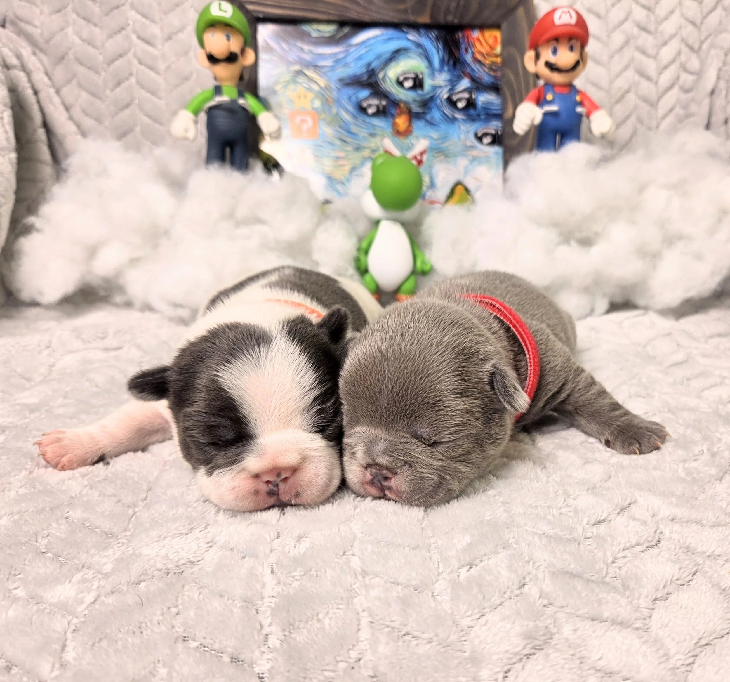 Daisy and Peach