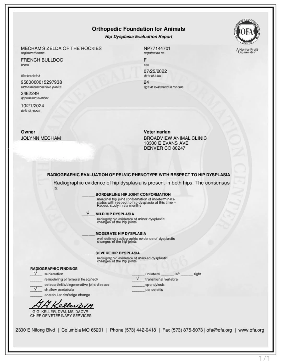 Veterinary report for a French Bulldog named Zelda of the Rockies, evaluating for hip dysplasia with radiographic evidence showing mild hip dysplasia in both hips.