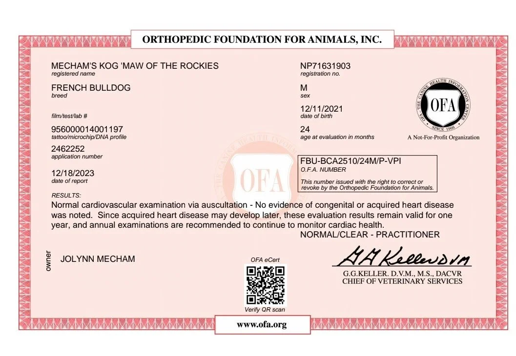 Veterinary health report for a French Bulldog named Mecahm, including registration number, date of birth, sex, age, and health examination results indicating normal cardiac health.