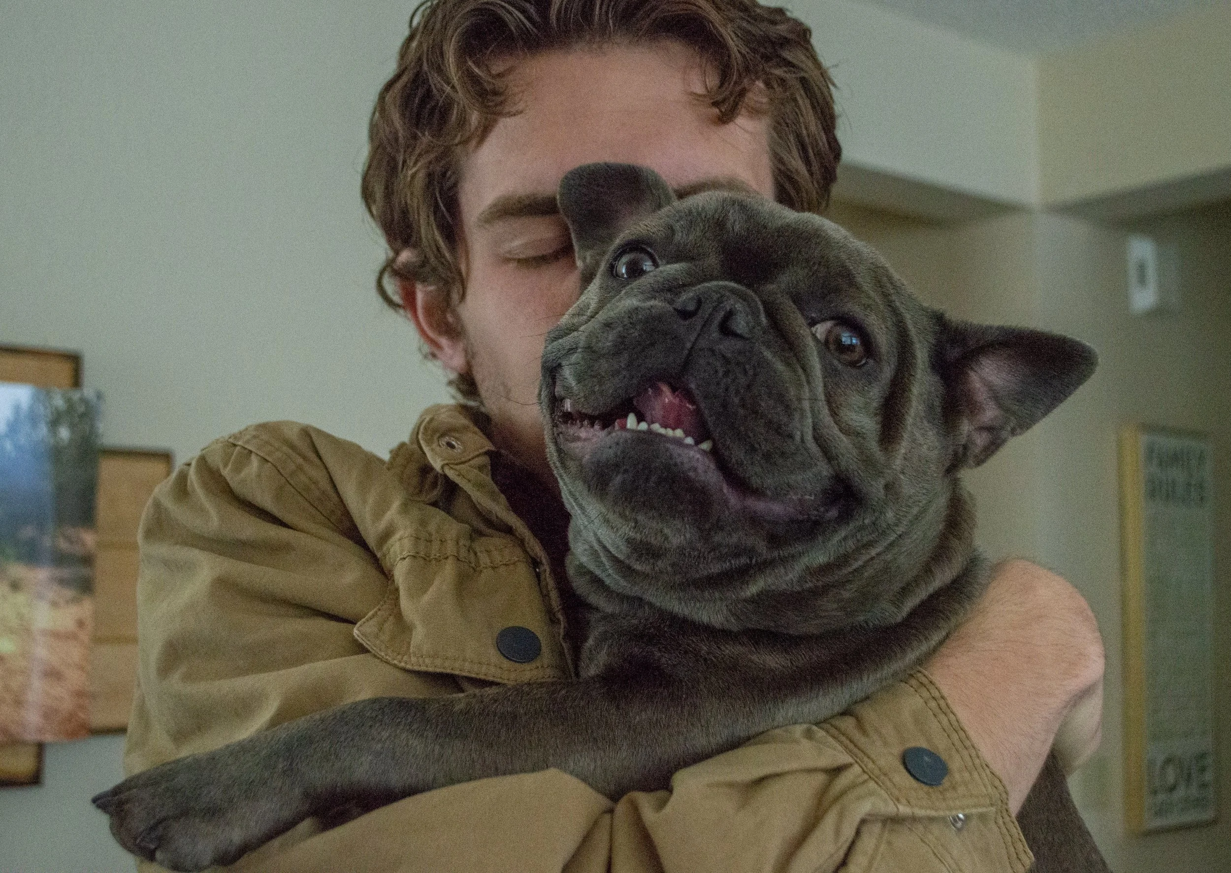 A person with light skin and curly brown hair holding a French Bulldog puppy indoors with a light-colored wall and some framed pictures in the background.