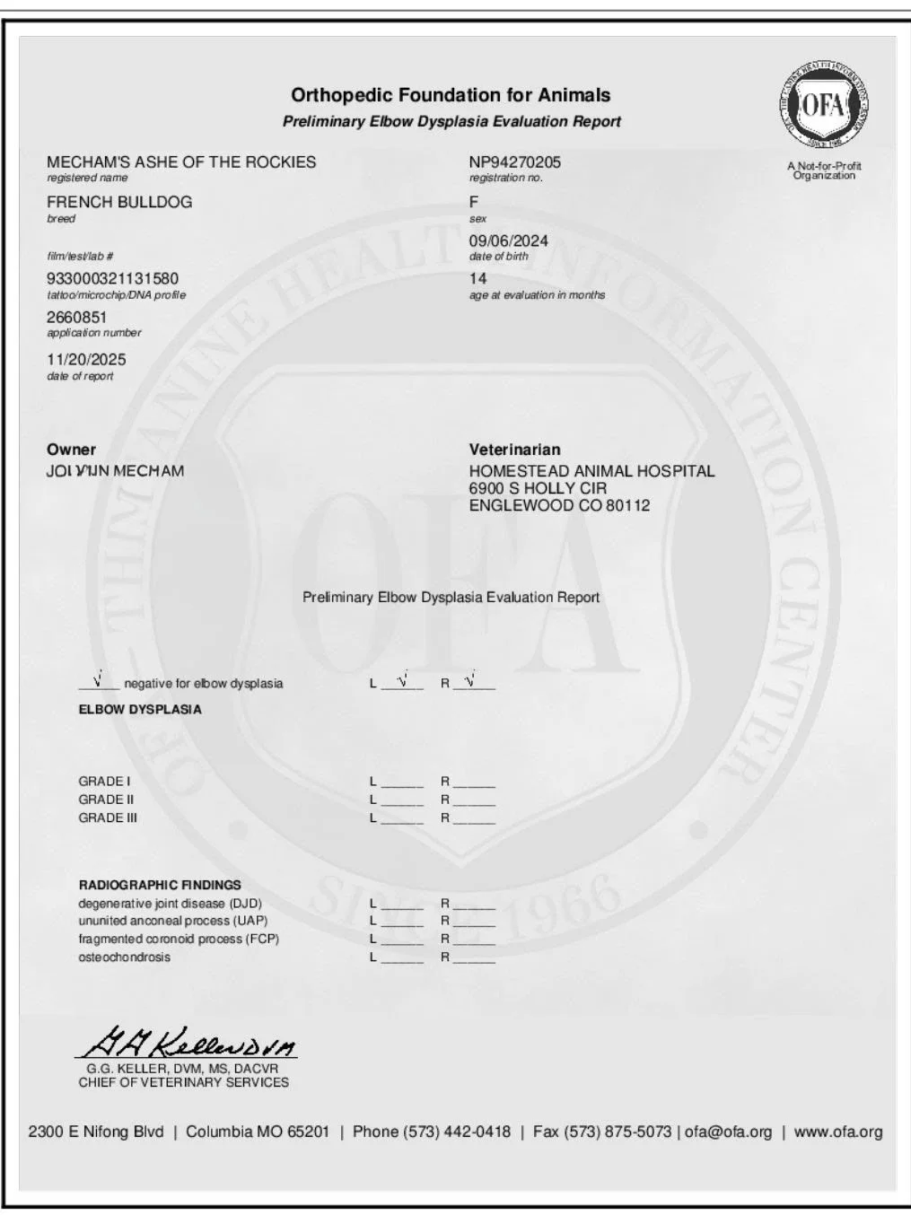 Veterinary report for a French Bulldog named Mecham's Ashe of the Rockies, evaluated for elbow dysplasia, dated November 20, 2025, from Orthopedic Foundation for Animals.