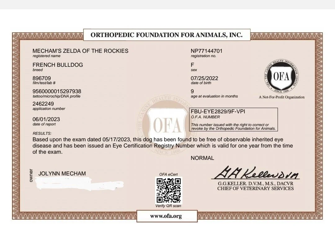 Animal health certificate for a French Bulldog dog from the Orthopedic Foundation for Animals, Inc., showing identification details, exam results, and certification date.