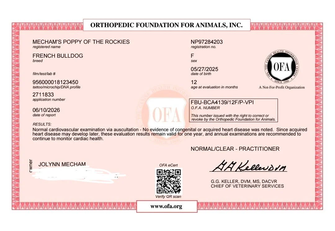 Veterinary health certificate for a French Bulldog named Mecham's Poppy of the Rockies, issued by the Orthopedic Foundation for Animals, indicating a normal cardiovascular exam, signed by veterinarian G. G. Keller.