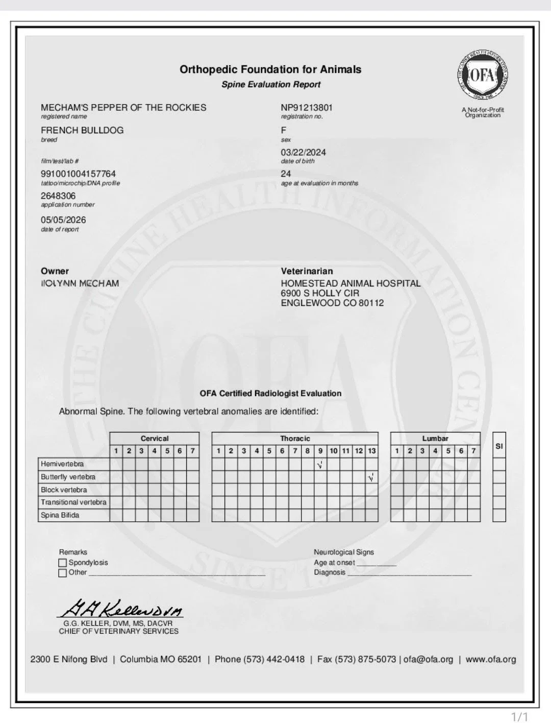 Veterinary report for a French Bulldog named Pepper of the Rockies. The report evaluates for abnormal spine, including cervical, thoracic, and lumbar vertebral anomalies, with check marks indicating specific issues.
