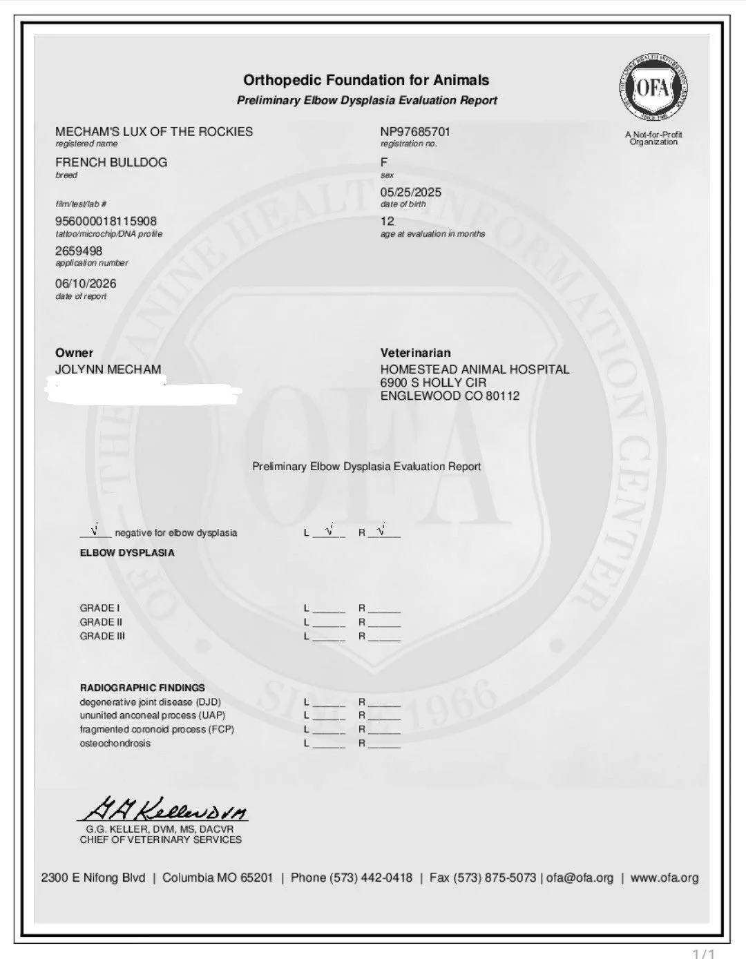 Veterinary report for a French Bulldog named Mecham's Lux of the Rockies, evaluating for elbow dysplasia, with radiographic findings and grading details.