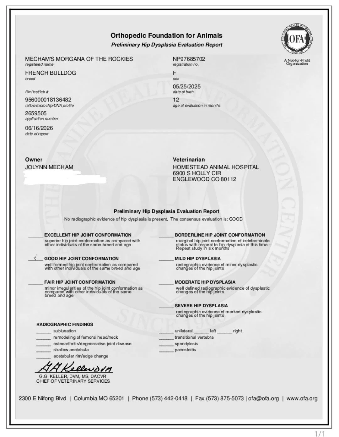 Preliminary hip dysplasia evaluation report for a French Bulldog named Morgana of the Rockies, issued by a veterinarian at Homestead Animal Hospital. The report includes details such as the owner’s name, date of birth, and radiographic findings.