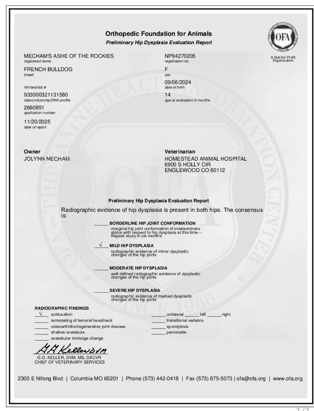 Preliminary Hip Dysplasia Evaluation Report for a French Bulldog, includes radiographic findings and diagnosis details.