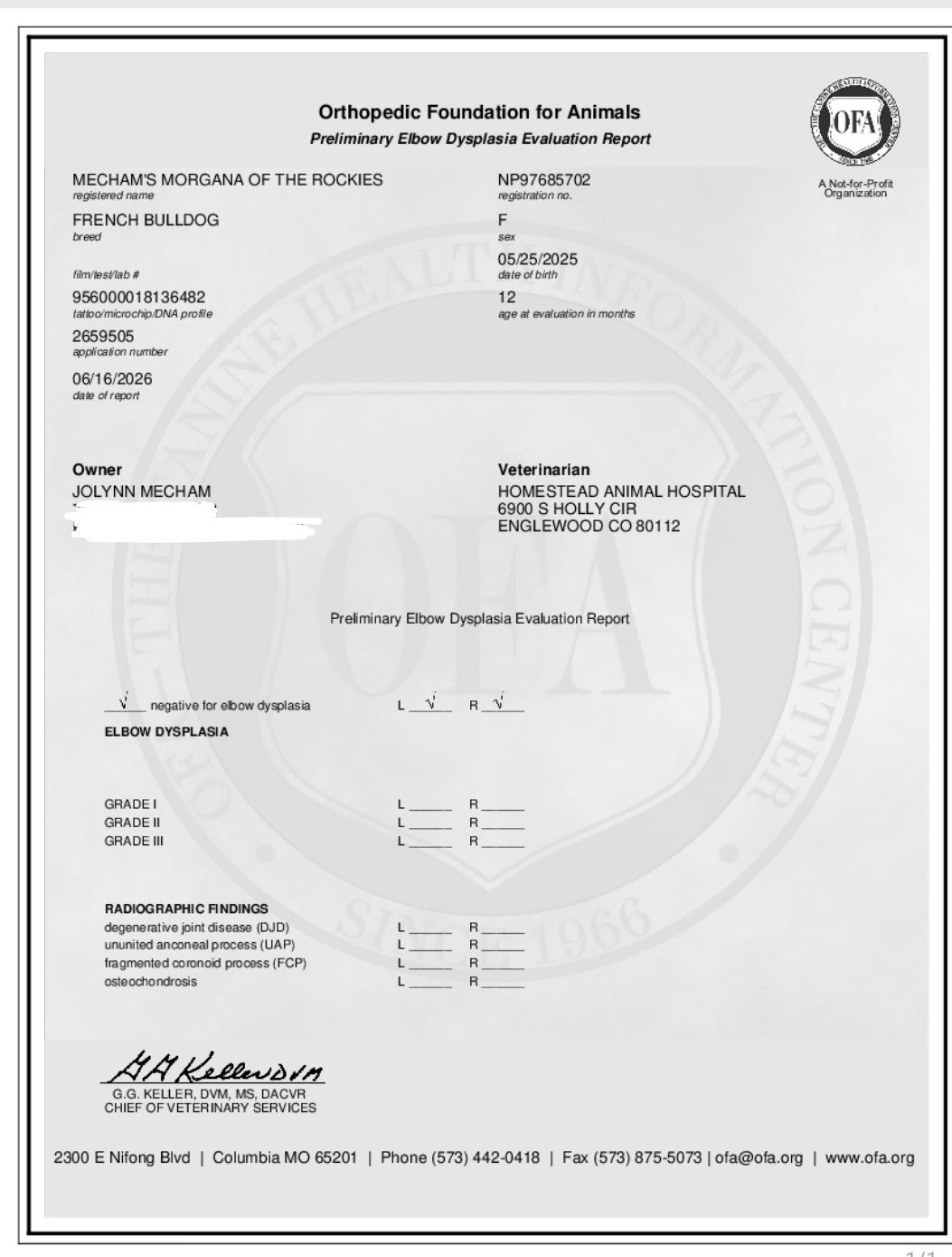 Preliminary elbow dysplasia evaluation report for a French Bulldog named Morgana of the Rockies, issued by the Orthopedic Foundation for Animals, with radiographic findings indicating elbow dysplasia and various grading and findings sections, signed 