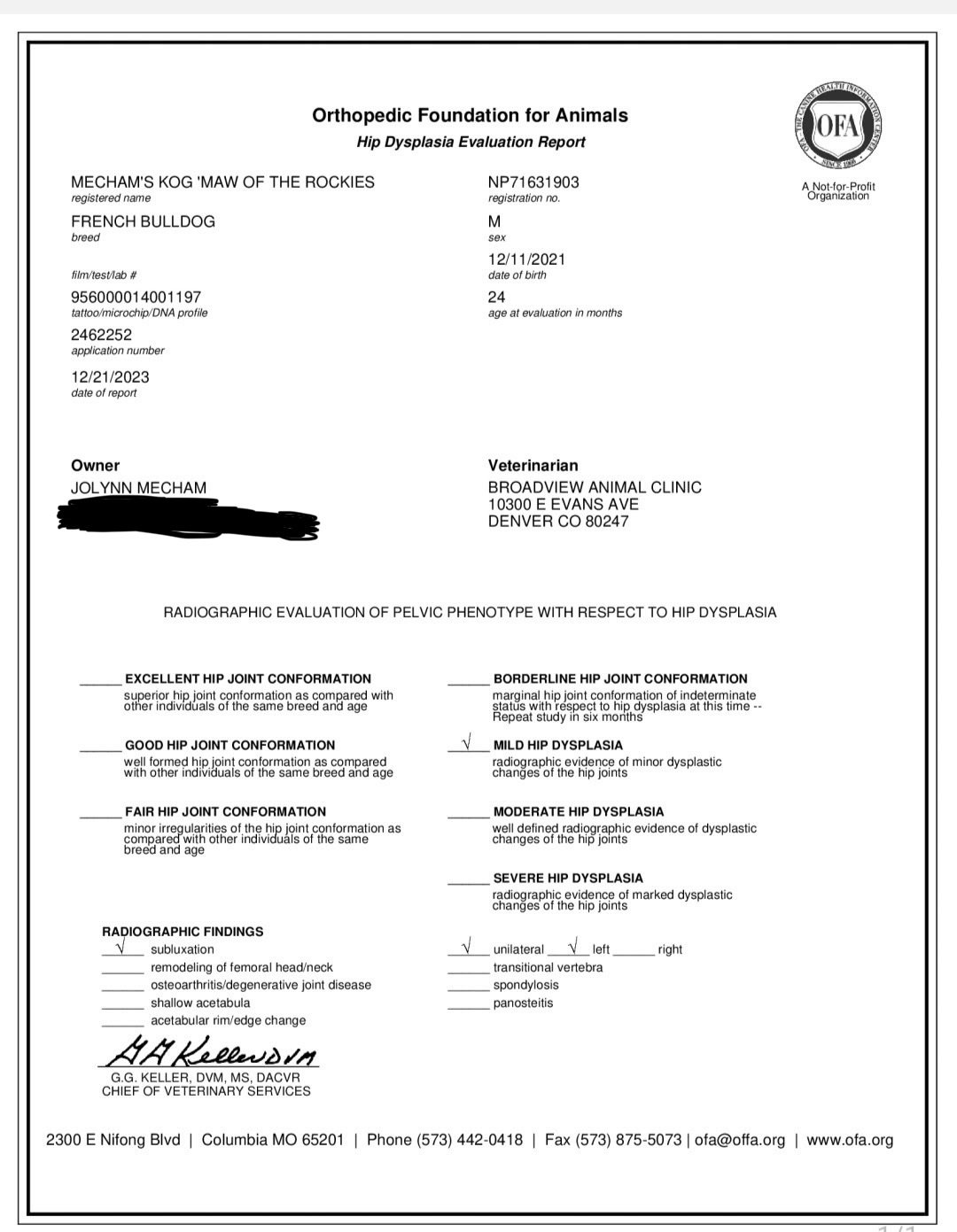 Veterinary report for a French Bulldog named MECHAM'S KOG MAW OF THE ROCKIES, showing hip dysplasia evaluation with radiographic findings.