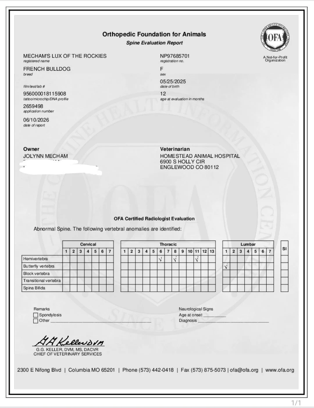 Veterinary report for a French Bulldog named Mecham's Lux of the Rockies, dated May 25, 2025, showing spinal abnormalities in cervical, thoracic, and lumbar regions.
