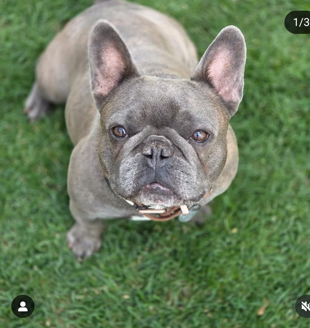 8d6b8cd6-bd28-454b-bc47-da40d0cee8c1-1_all_28775.jpg